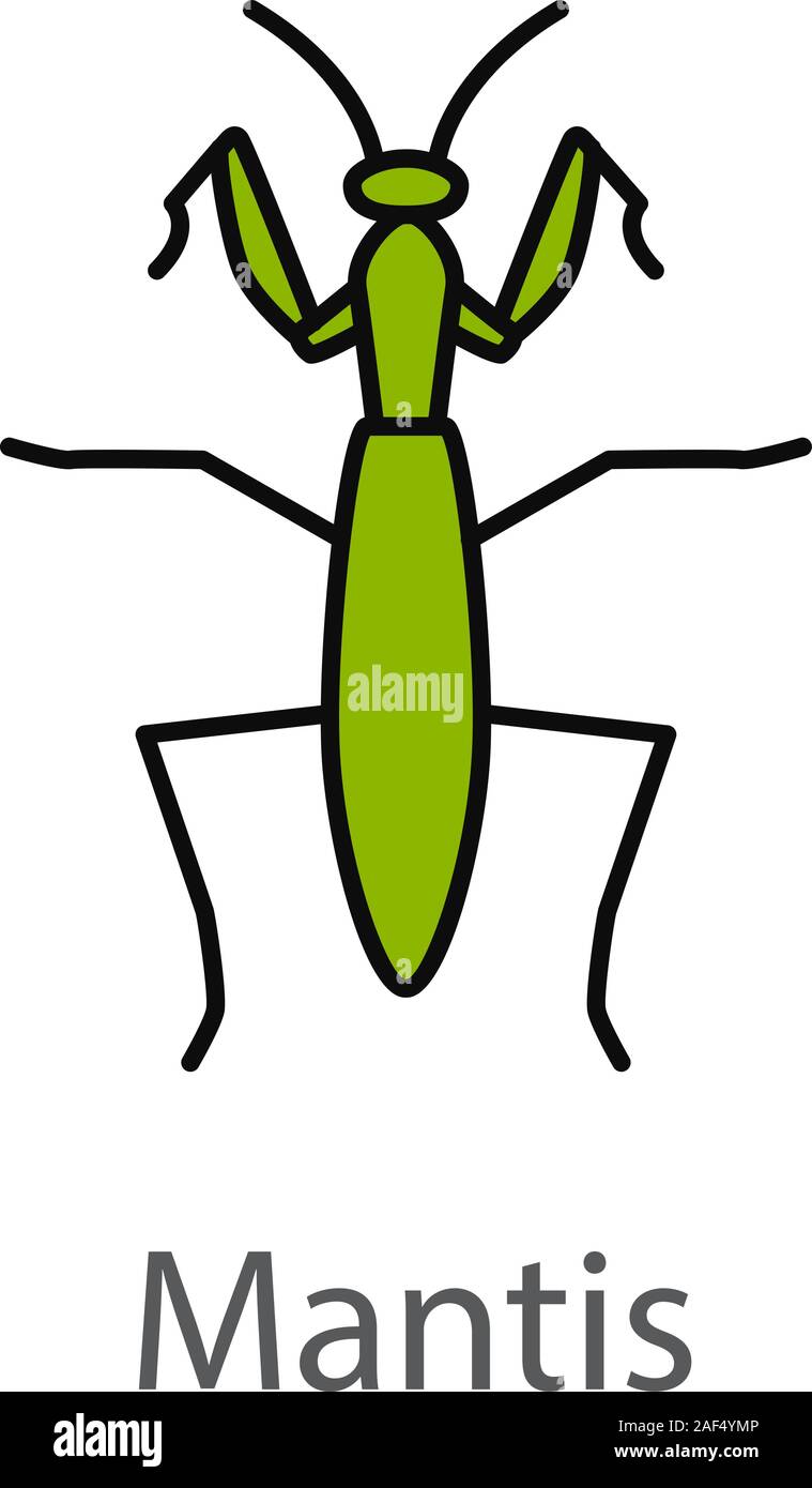 Mantide religiosa icona di colore. Mantodea. Un insetto. Isolato illustrazione vettoriale Illustrazione Vettoriale