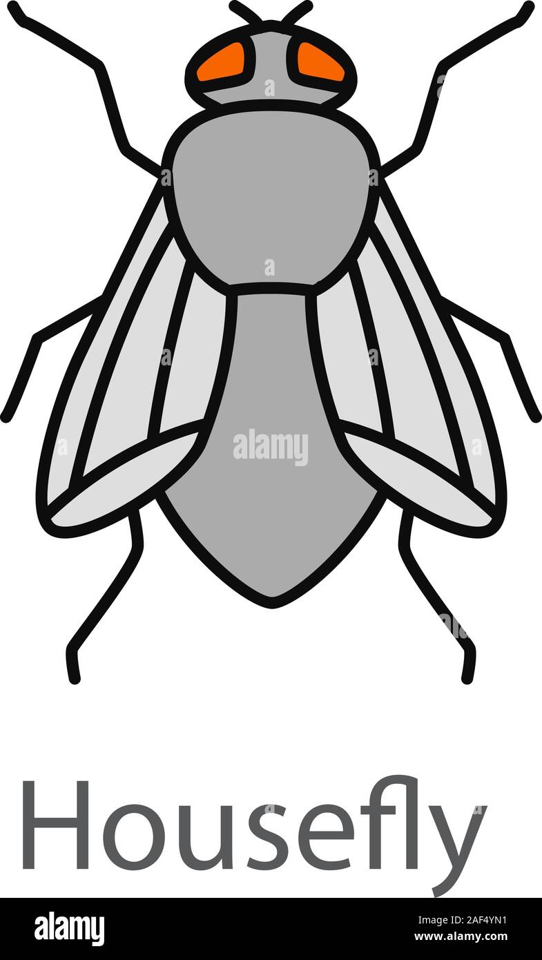 Colore Housefly icona. Musca domestica. Volare un insetto. Isolato illustrazione vettoriale Illustrazione Vettoriale