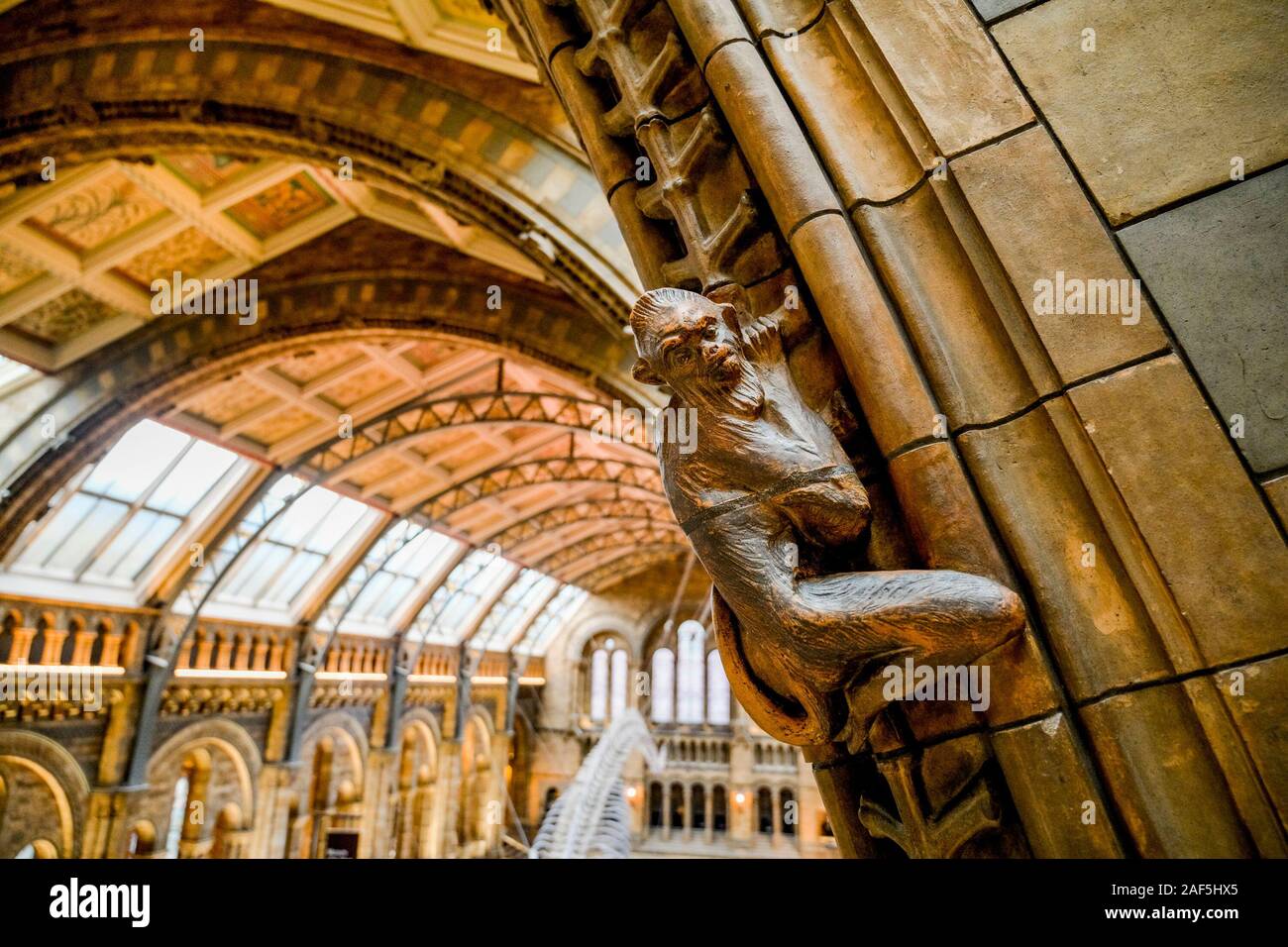 La scalata di scimmia dettagli scolpiti, Museo di Storia Naturale di Londra, Inghilterra, Regno Unito Foto Stock