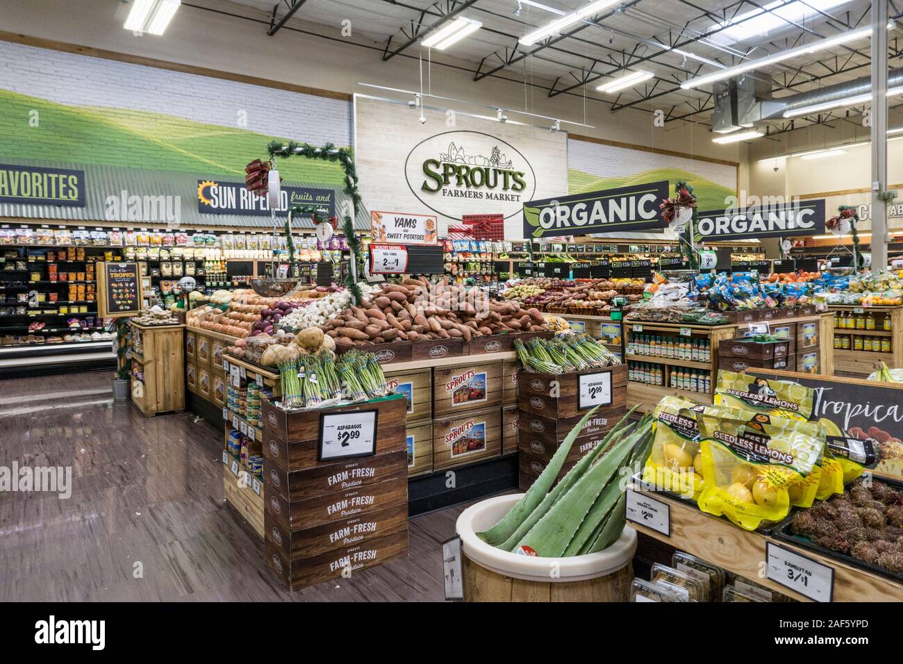 Vista di attraentemente visualizzati abbondante produzione di area in upscale germogli Farmers Market Tucson in Arizona con organici indicati da grandi cartelli appesi Foto Stock