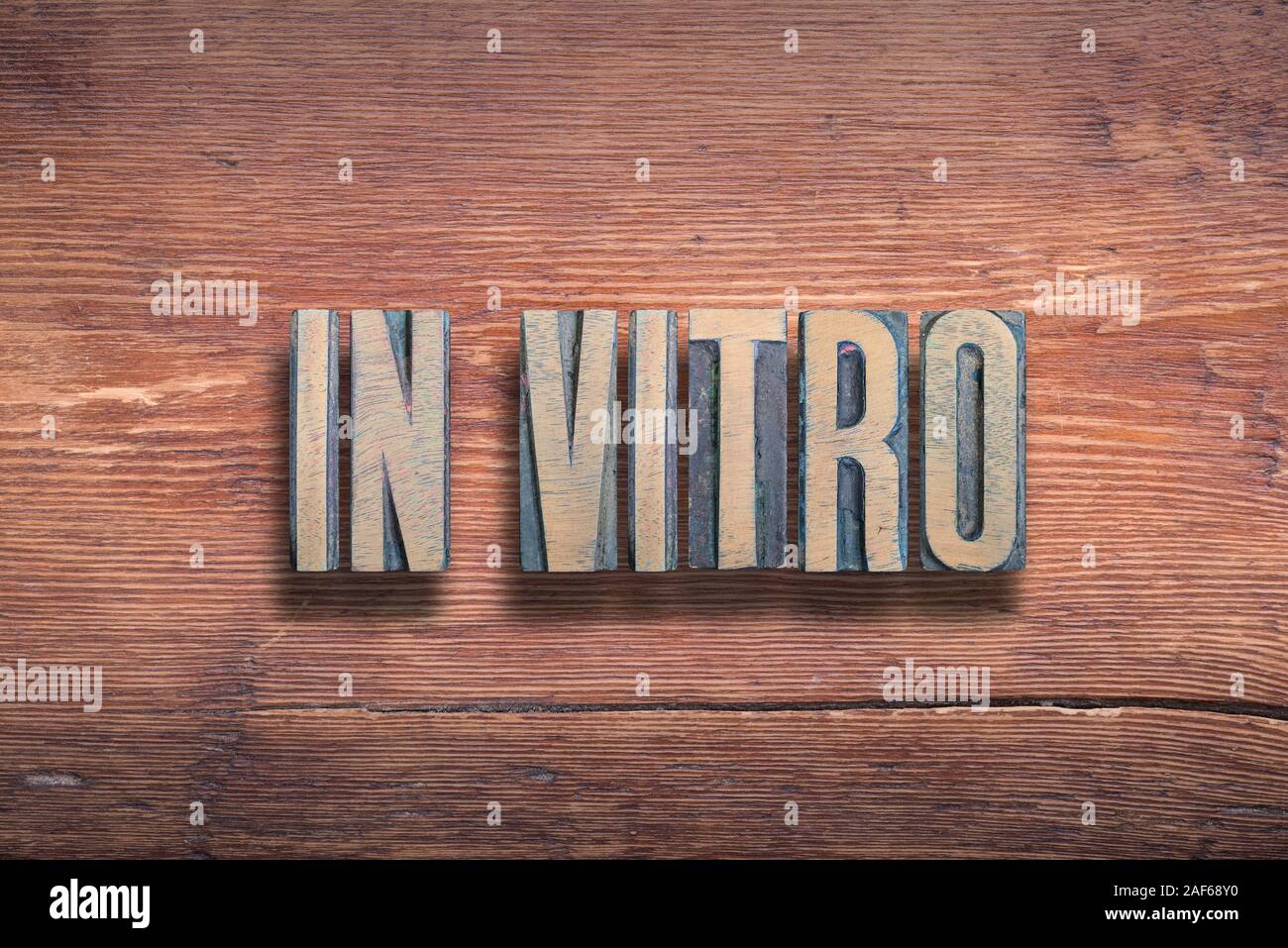 In vitro antico motto latino significato - in vetro; il processo biologico che si verifica in laboratorio, combinato su vintage verniciato superficie in legno Foto Stock