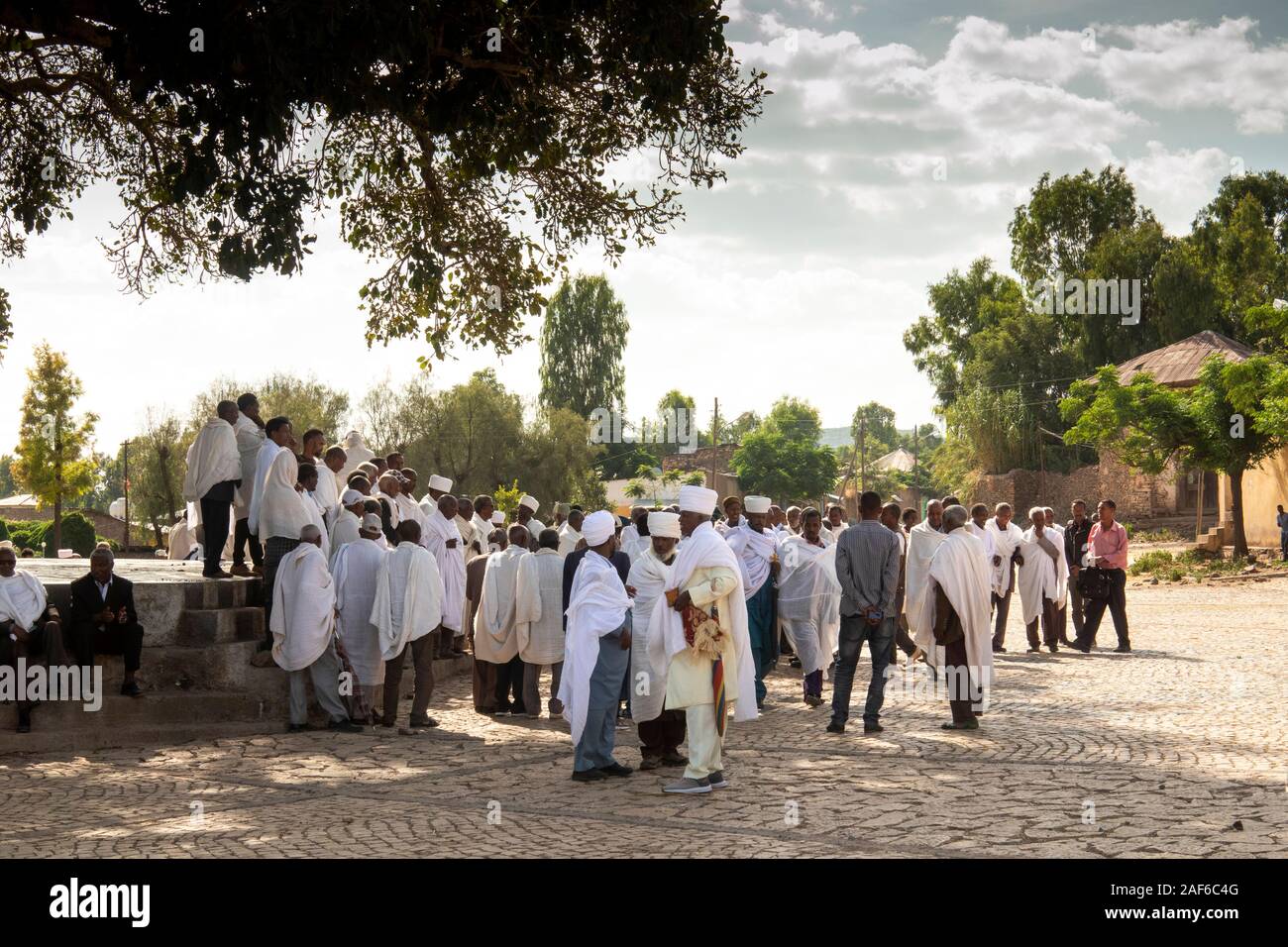 Etiopia, Tigray, Axum (Aksum), Daero Ella, (Da'Ero Ela) plaza, piazza, gli uomini riuniti in ombra di fig tree dopo il funerale Foto Stock