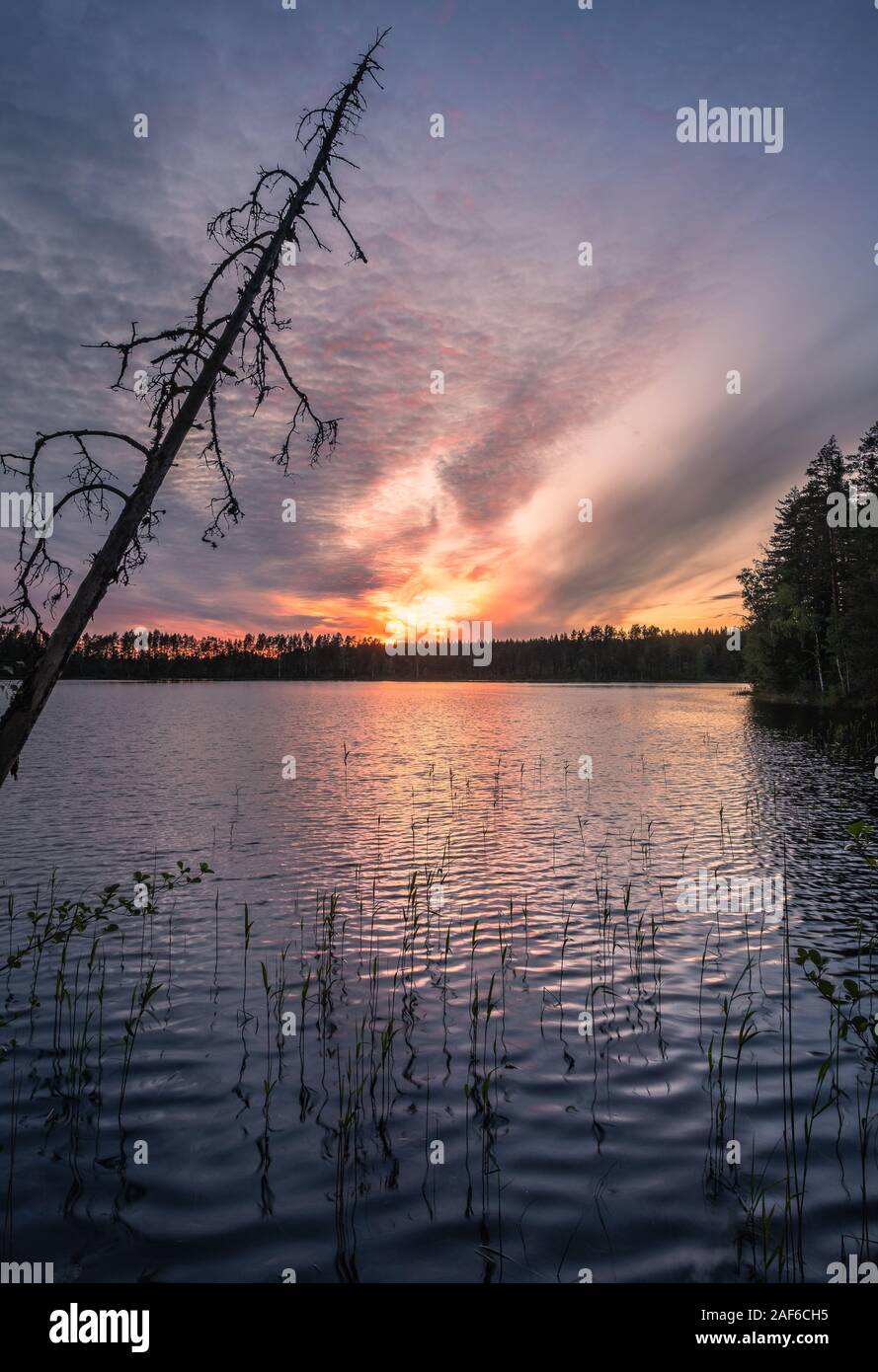 Paesaggio panoramico sul lago con il tramonto in serata primaverile in Finlandia Foto Stock