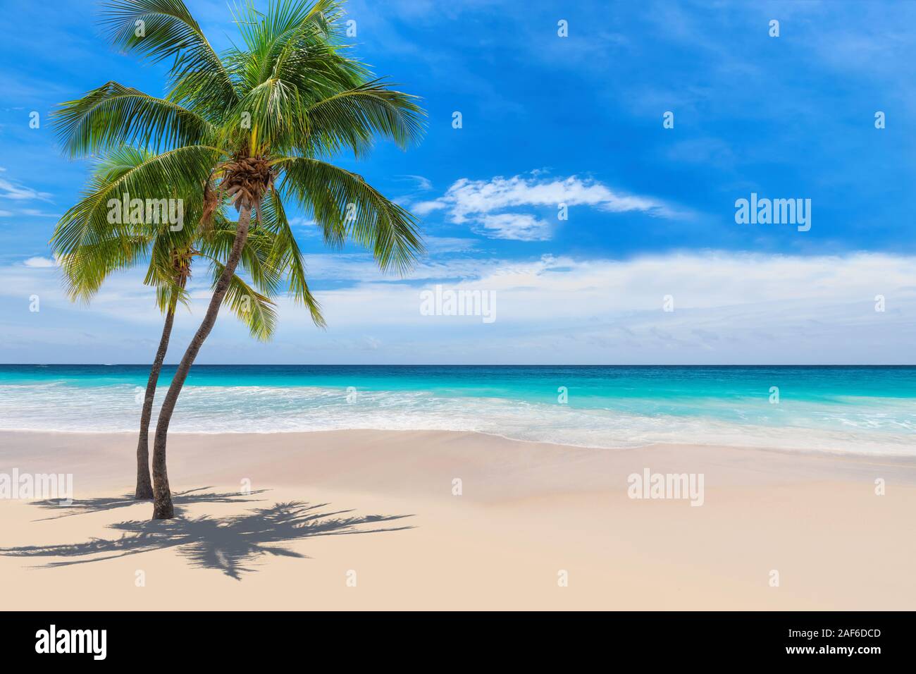 Spiaggia caraibica con palme da cocco e mare turchese Foto Stock