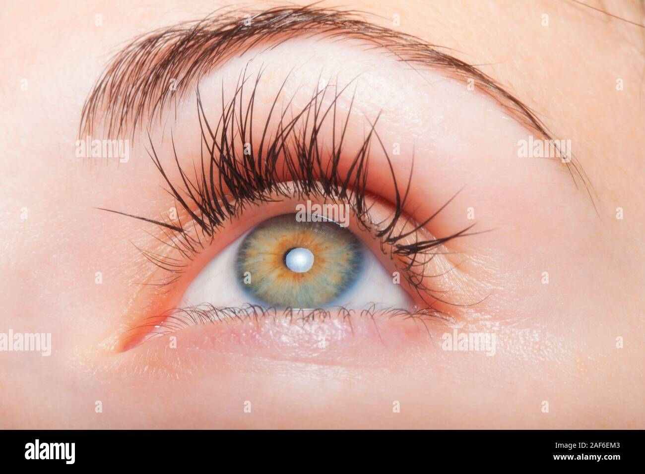 Extreme closeup di un occhio con le ciglia lunghe Foto Stock