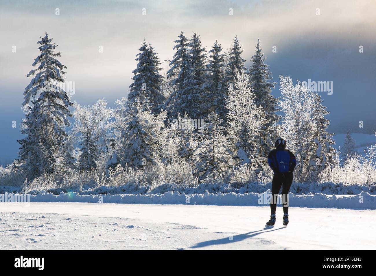 Il freddo inverno pieno di sole di mattina. Un gruppo di alberi di surgelati e un Pattinatore su ghiaccio pattinare su un lago ghiacciato di sunrise, il lago Weissensee in Carinzia, Austria, Alpi, Austria Foto Stock