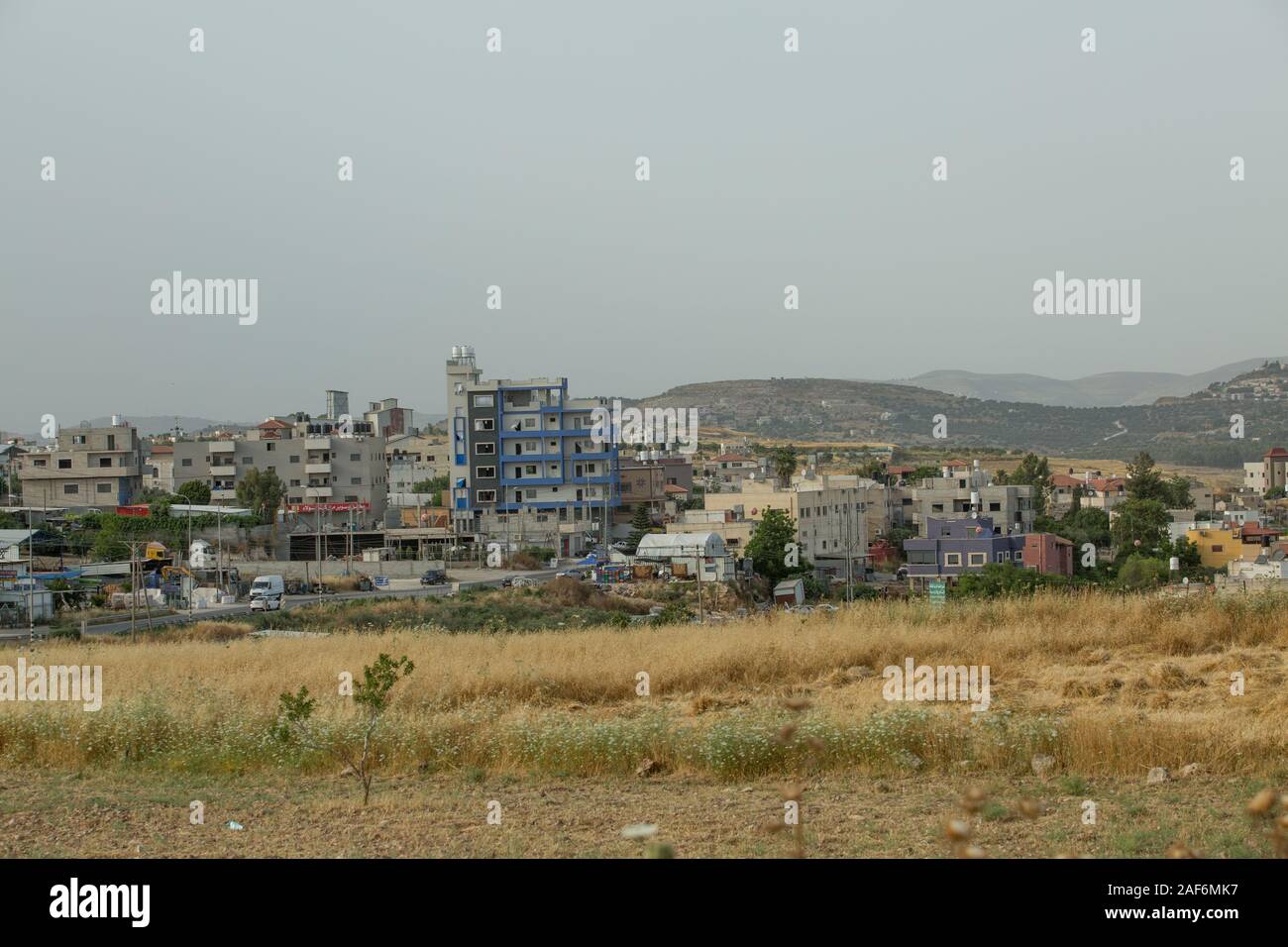 Palestinesi residenti in un campo sassoso infestati da erbacce di secco e spine fotografato in Cisgiordania vicino Gidi Junction Palestina / Israele Foto Stock