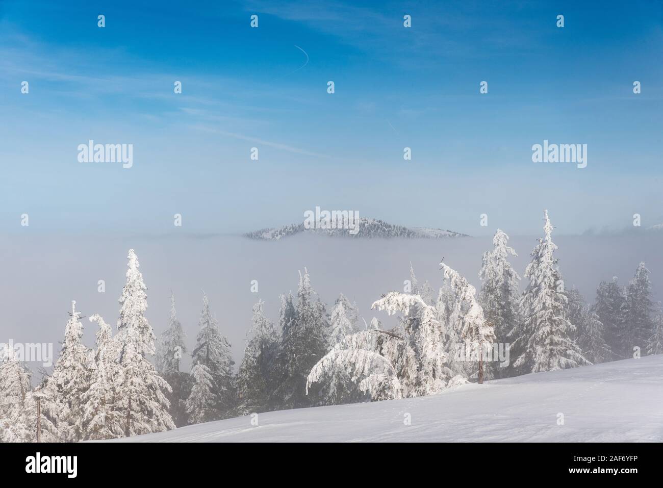 Paesaggio montano invernale con la nebbia, alberi, vertice di collina sopra il livello di velatura e cielo blu sopra nei pressi di Skalka hill in Mala Fatra montagne in Slovacchia Foto Stock