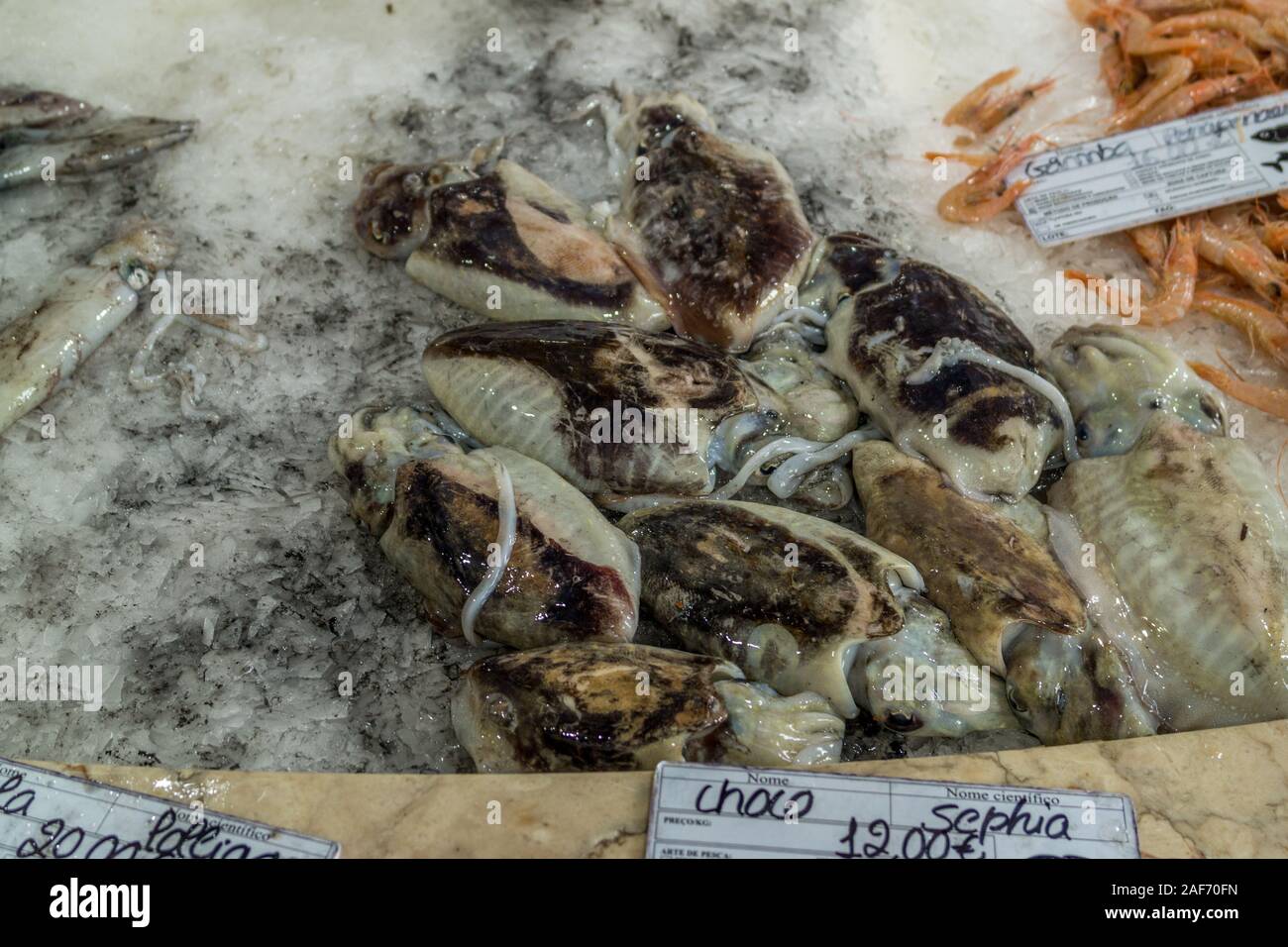 Una giornata impegnativa nel mercato del pesce Foto Stock