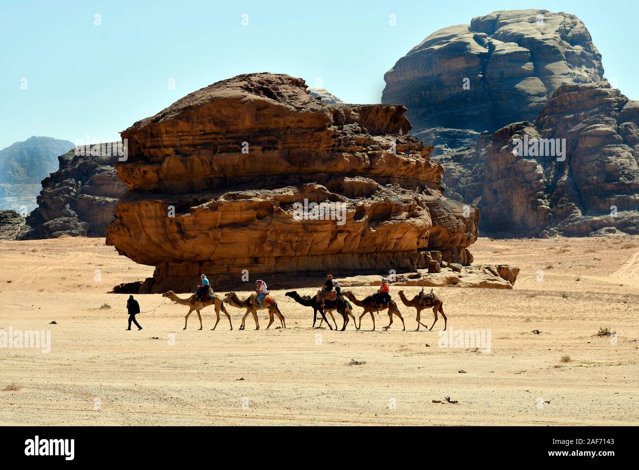 Il Wadi Rum, Giordania - Marzo 07, 2019: gruppo di donna prendere un giro in cammello nel paesaggio desrt di Wadi Rum Foto Stock