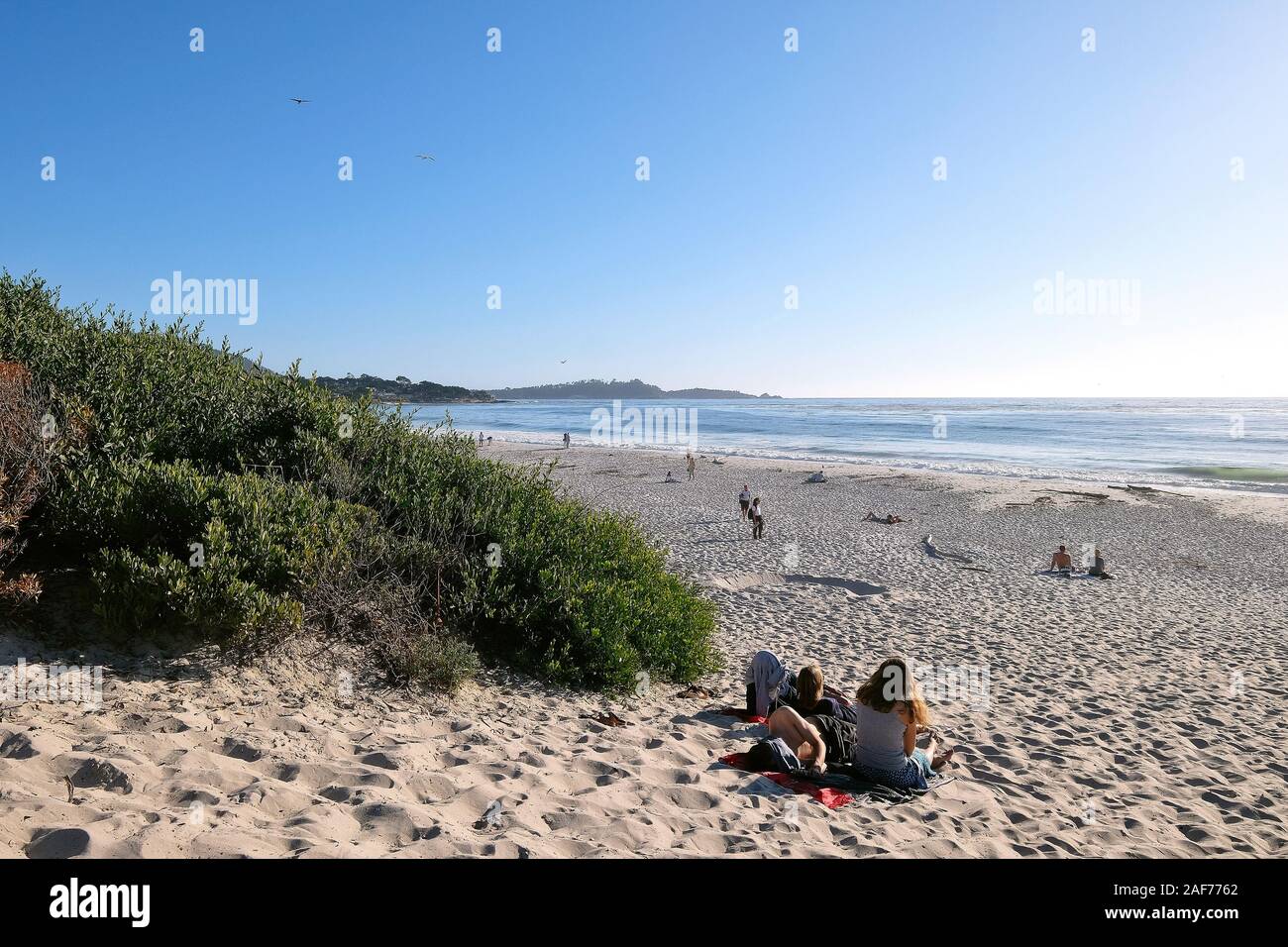 Carmel Beach, Spiaggia di Carmel-by-the-Sea, California, Stati Uniti Foto Stock