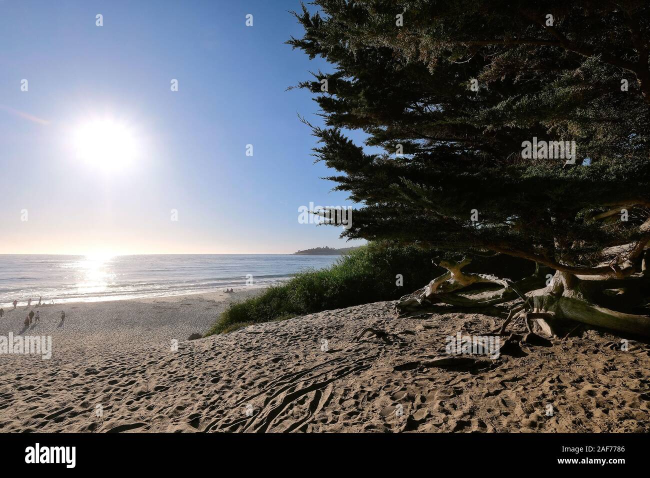 Carmel Beach, Spiaggia di Carmel-by-the-Sea, California, Stati Uniti Foto Stock
