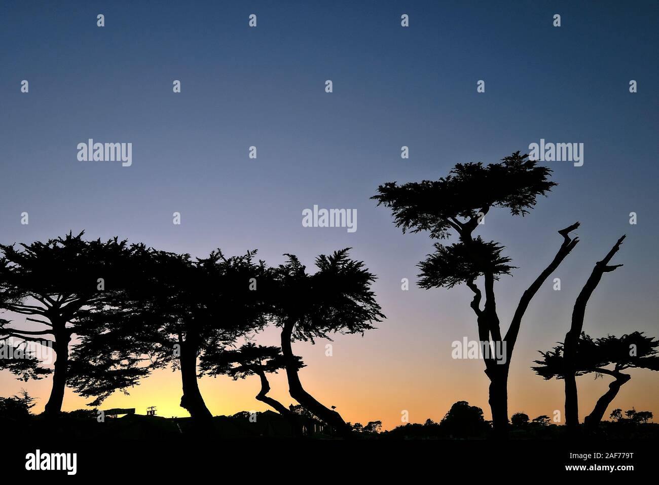 Tramonto A Pacific Grove, Monterey County, California, Stati Uniti Foto Stock