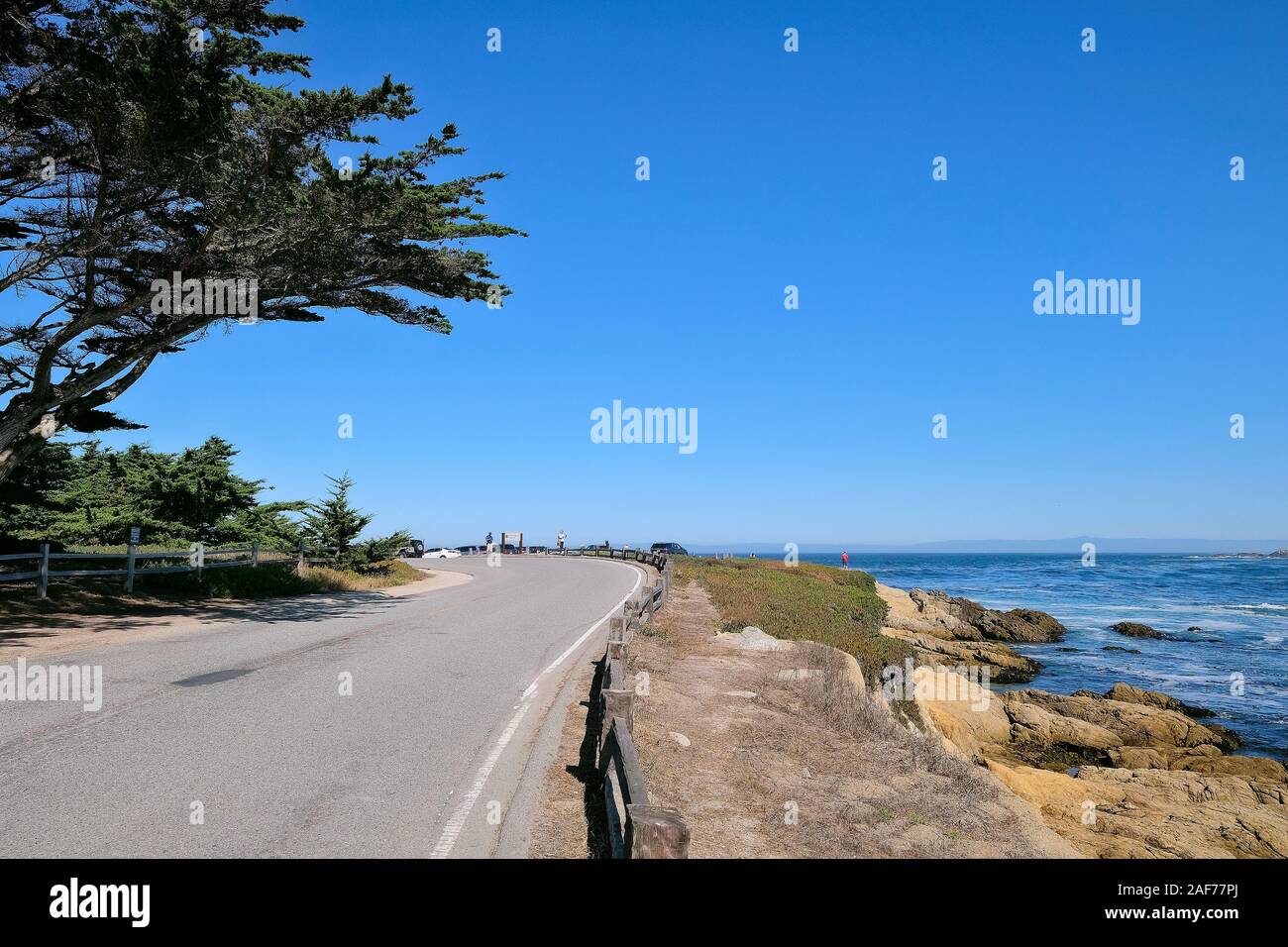 Costeggia il 17 Mile Drive, una strada costiera a pagamento sulla penisola di Monterey tra Carmel-by-the-Sea e Monterey, California, Stati Uniti Foto Stock