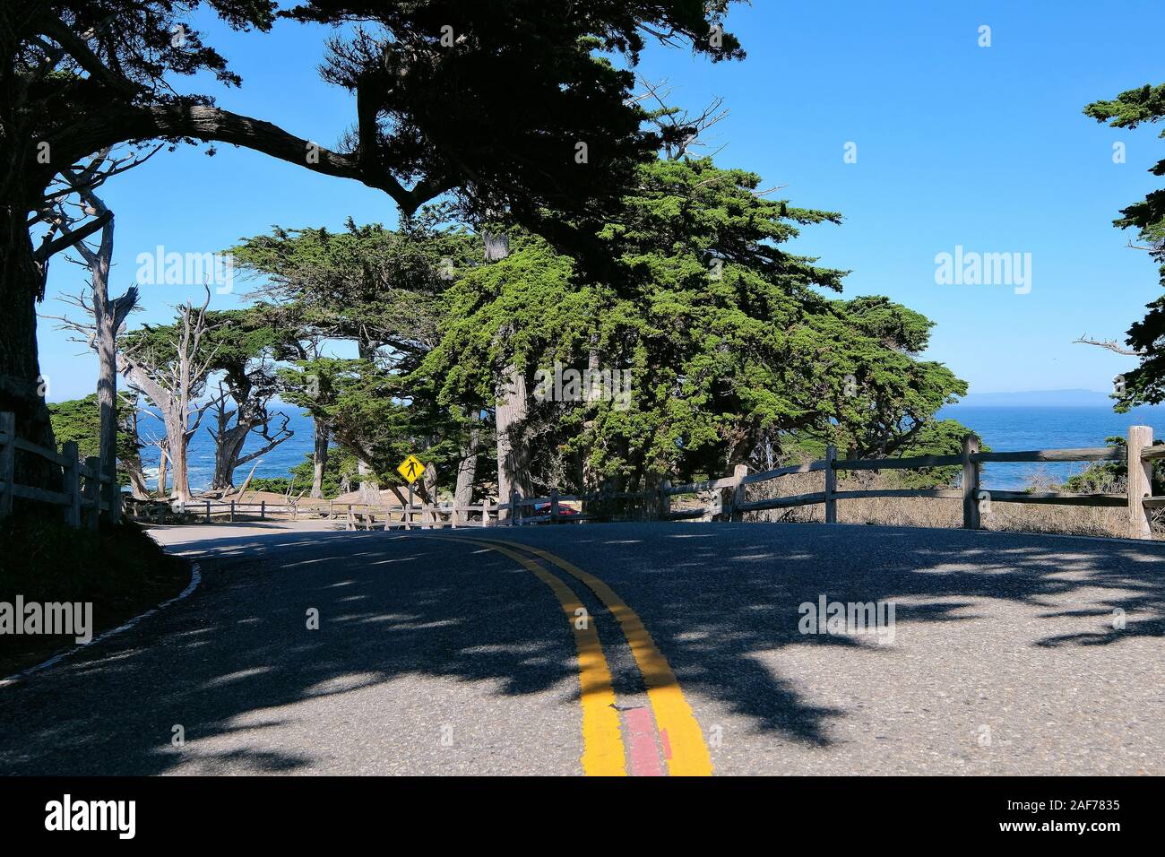 Paid Coastal Route 17-Mile Drive sulla penisola di Monterey tra Carmel-by-the-Sea e Monterey, California, Stati Uniti Foto Stock