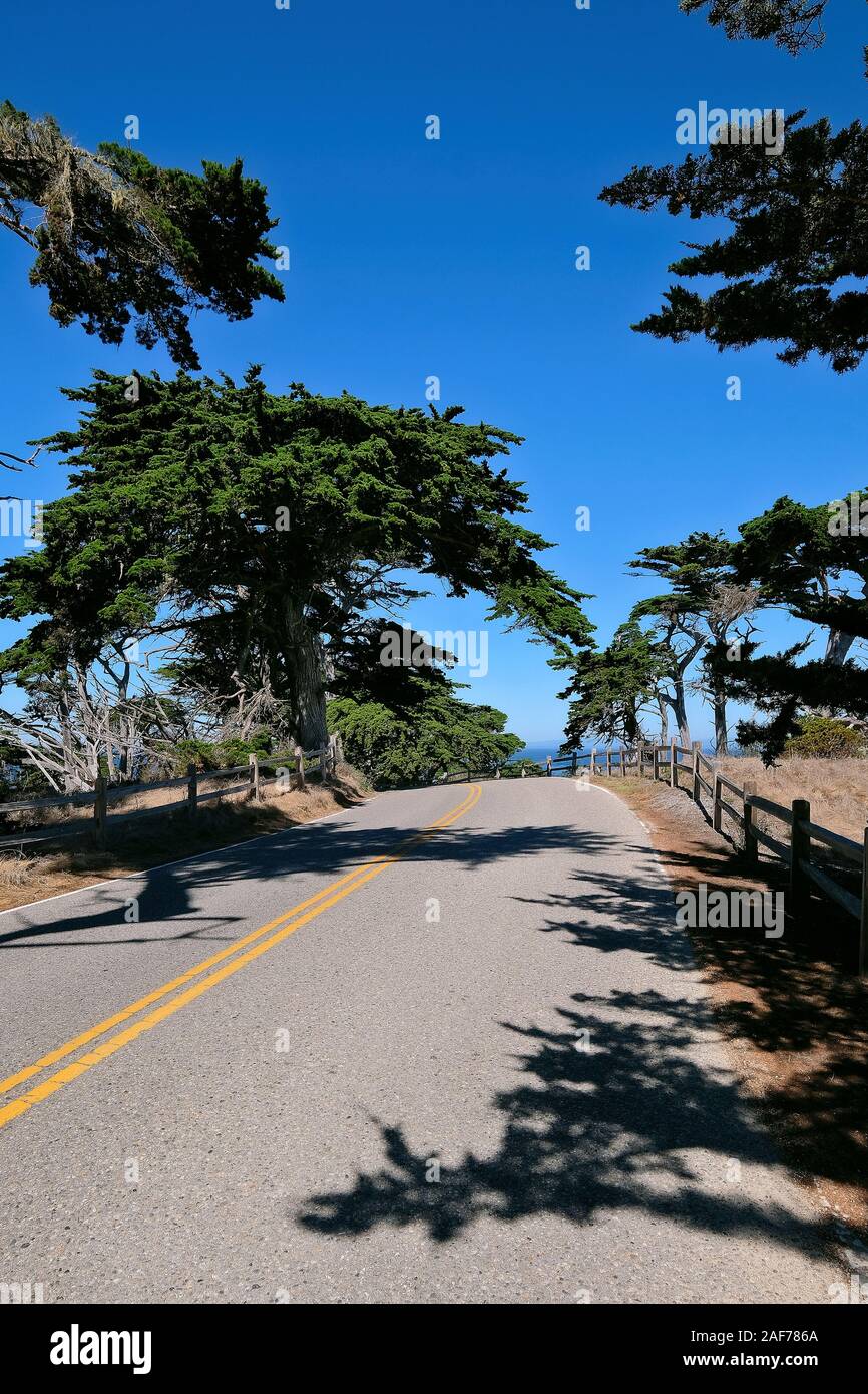 Paid Coastal Route 17-Mile Drive sulla penisola di Monterey tra Carmel-by-the-Sea e Monterey, California, Stati Uniti Foto Stock