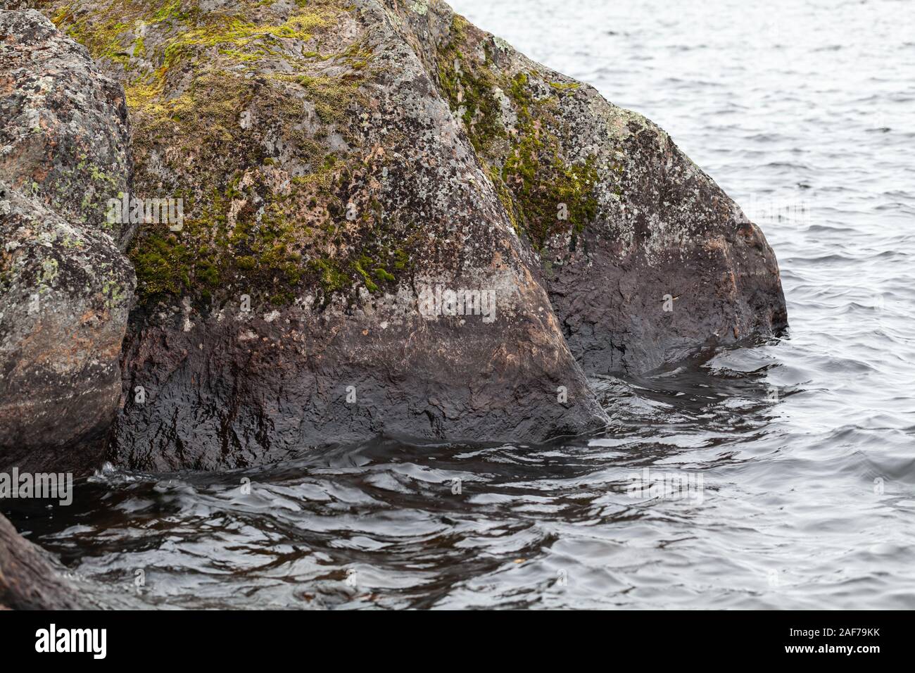 Massive bagnato pietre di granito con moss laici in un acqua, Golfo di Finlandia e Russia Foto Stock