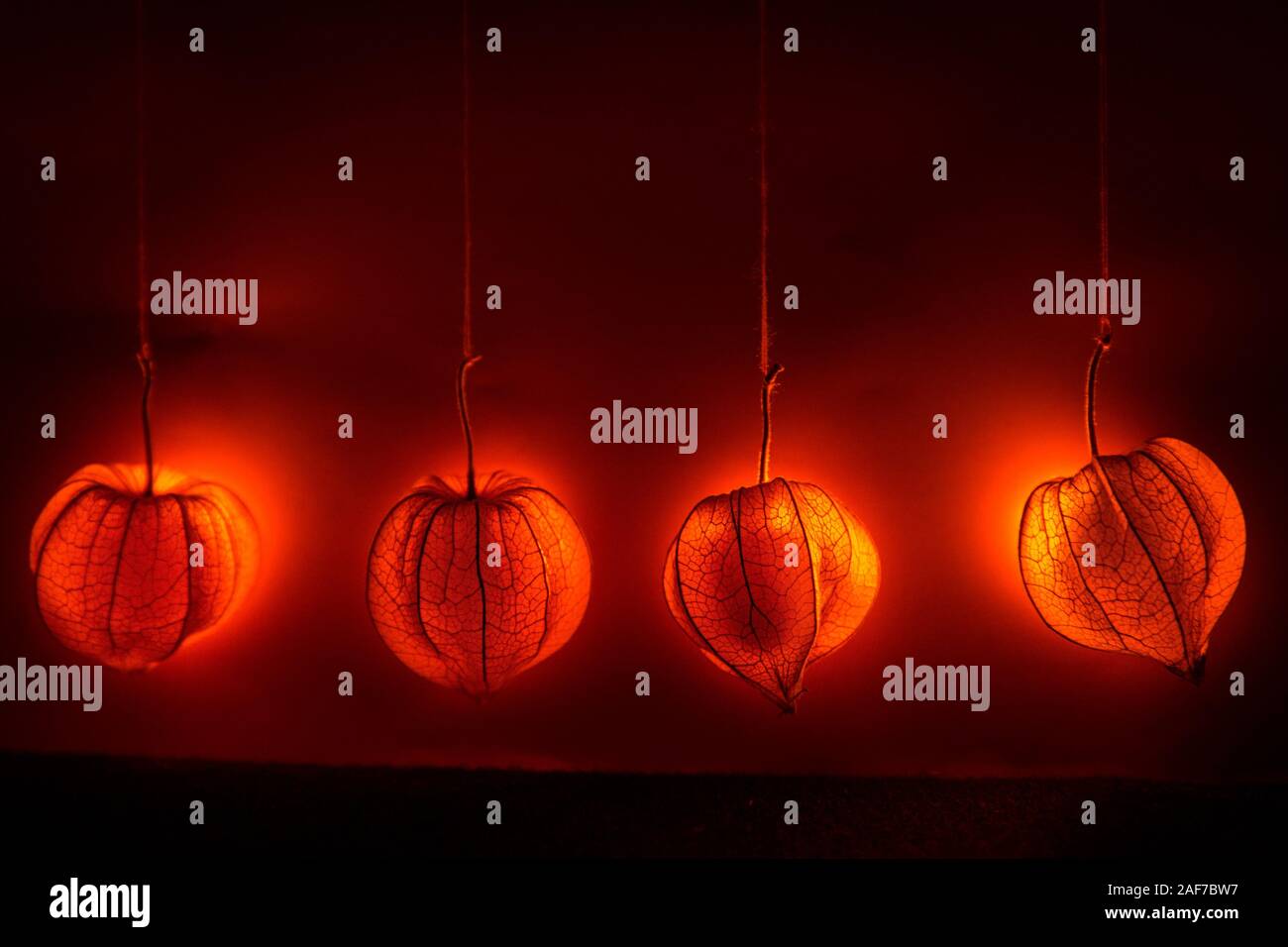 Appendere physalis - un arancione sogno lucido decor. Lo sfondo o il tema per l'autunno umore Foto Stock