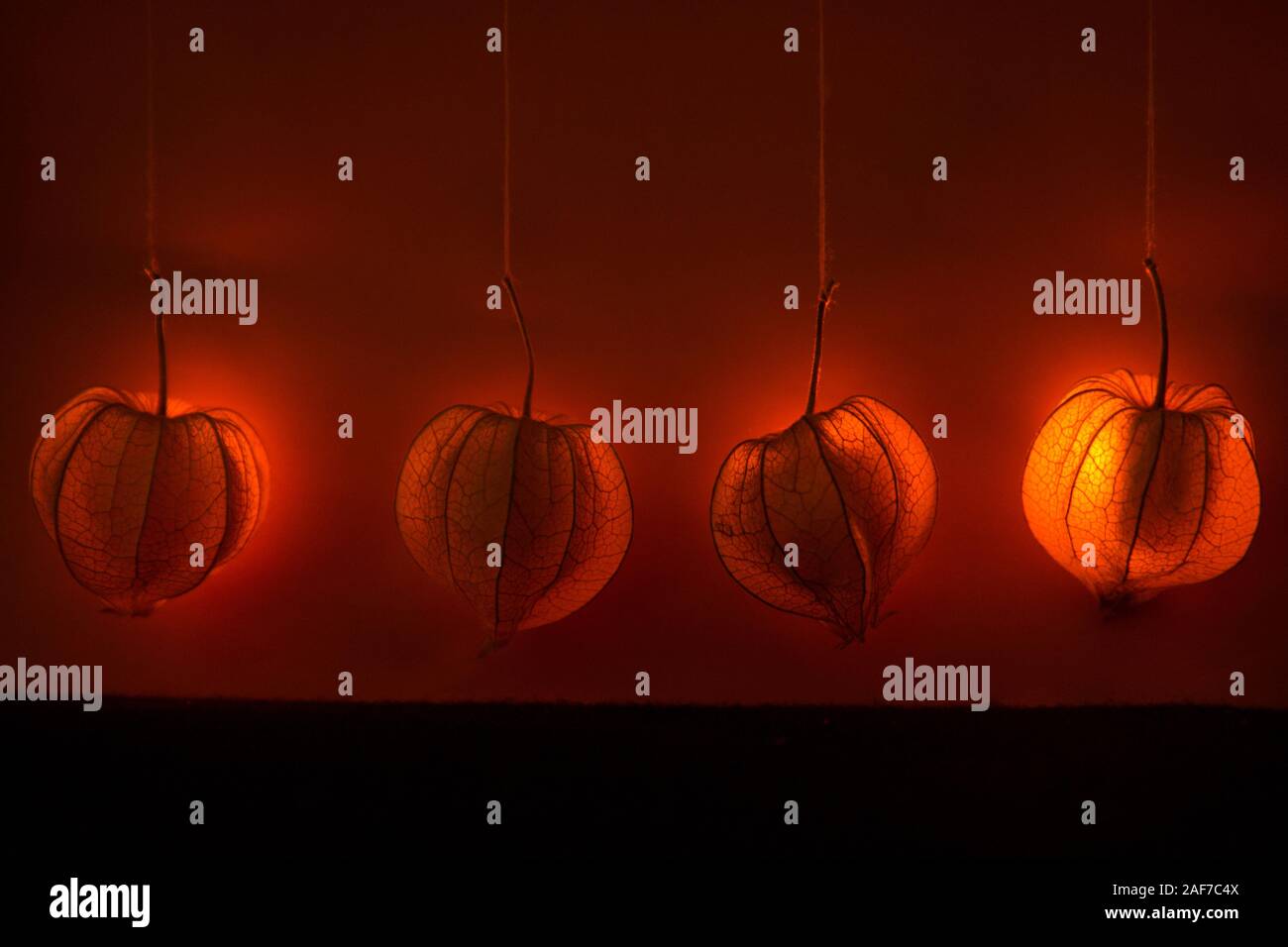 Appendere physalis - un arancione sogno lucido decor. Lo sfondo o il tema per l'autunno umore Foto Stock