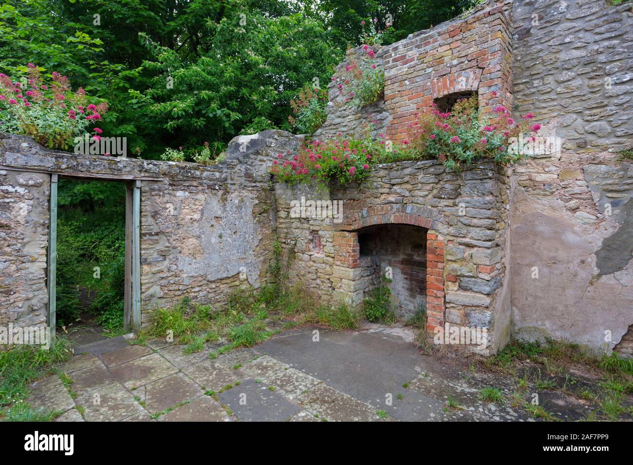 Uno dei rovinato cottages, ora scoperchiata e stanno lentamente recuperato dalla natura nel villaggio abbandonato di Tyneham, Dorset, England, Regno Unito Foto Stock