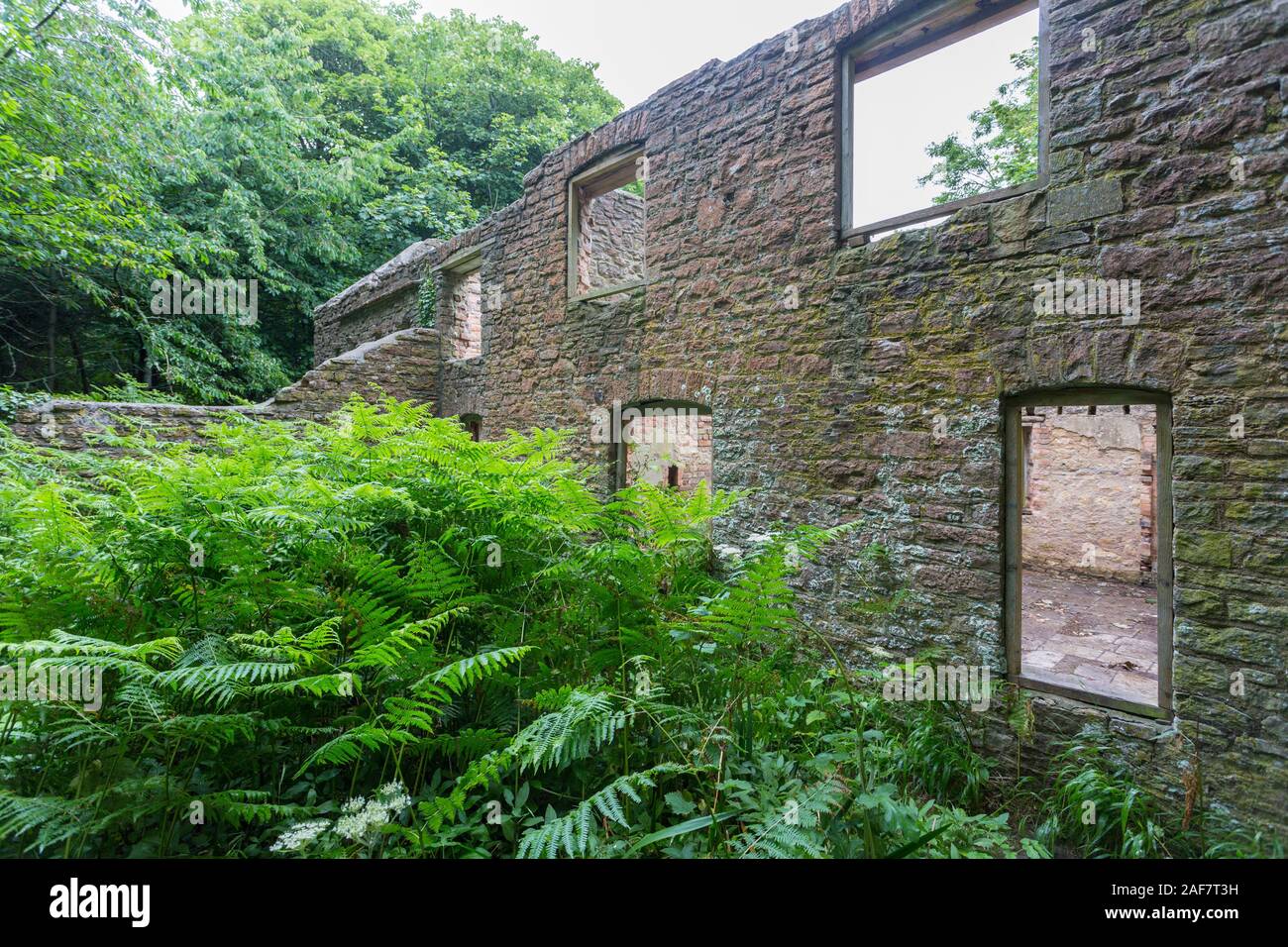 Uno dei rovinato cottages, ora scoperchiata e stanno lentamente recuperato dalla natura nel villaggio abbandonato di Tyneham, Dorset, England, Regno Unito Foto Stock