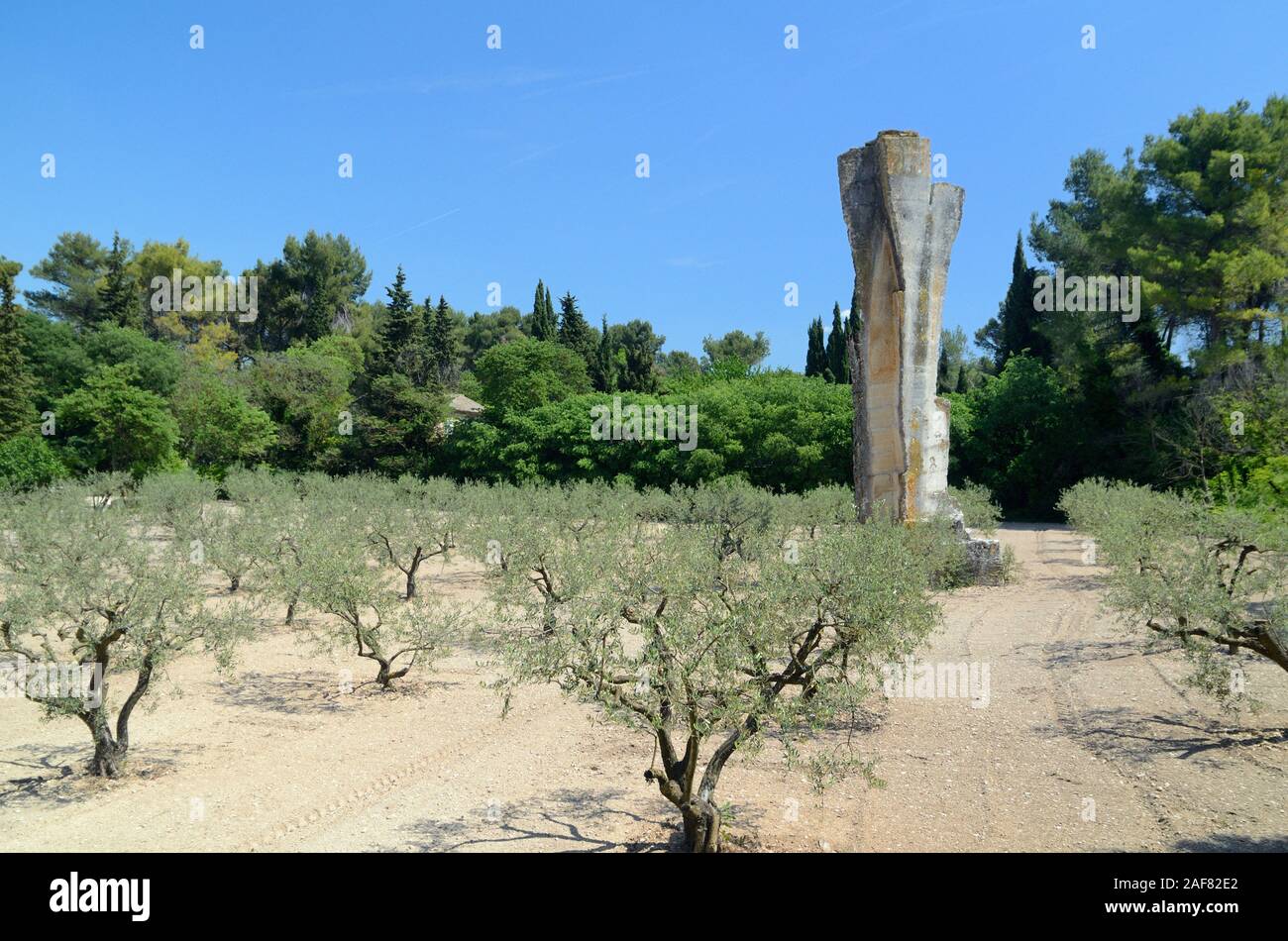 Oliveto & Rock pilastro (vestigia di cava romana) Mas De La Pyramide Agriturismo Saint-Rémy-de-Provence Provence Francia Foto Stock