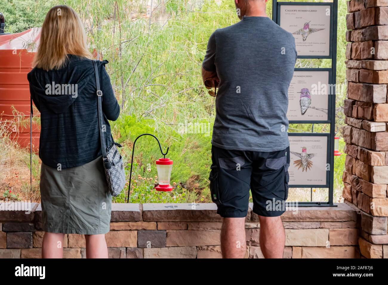 In Arizona, SEP 24: Due persone che guardano il hummingbird feeder il Sep 24, 2019 in Arizona Foto Stock