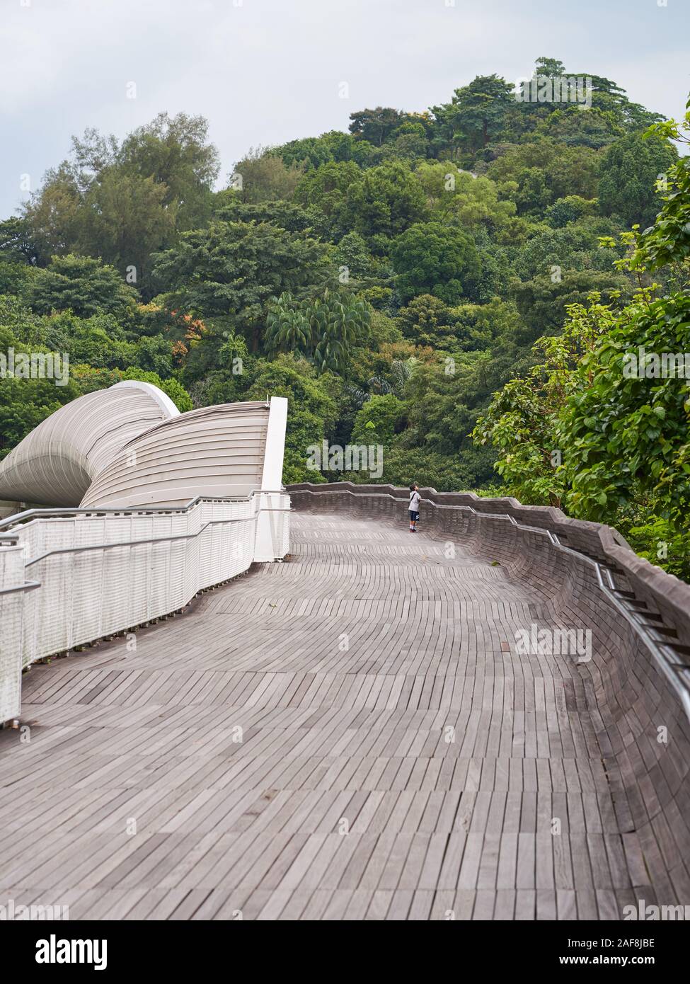 Un giovane ragazzo cerca di peer oltre il ponte per vedere la vista sulle onde di Henderson Foto Stock