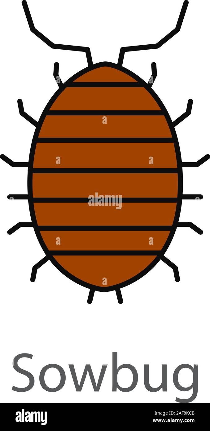 Colore Woodlouse icona. Roll up bug. Sowbug. Isolato illustrazione vettoriale Illustrazione Vettoriale