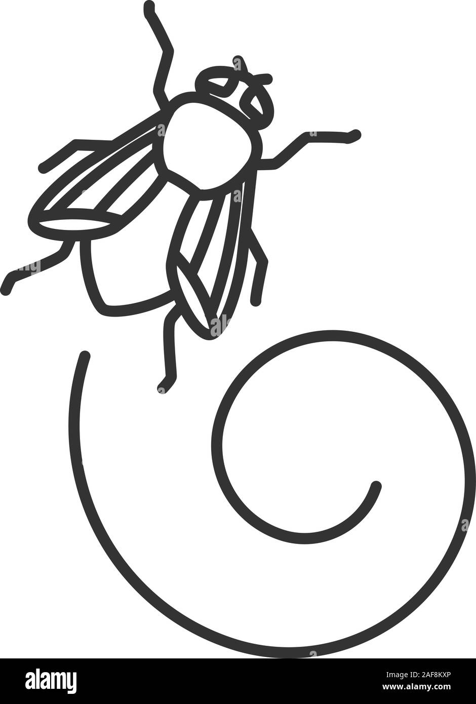 Housefly icona lineare. Un insetto. Musca domestica. Volare un insetto. Linea sottile illustrazione. Simbolo di contorno. Il vettore isolato disegno di contorno Illustrazione Vettoriale
