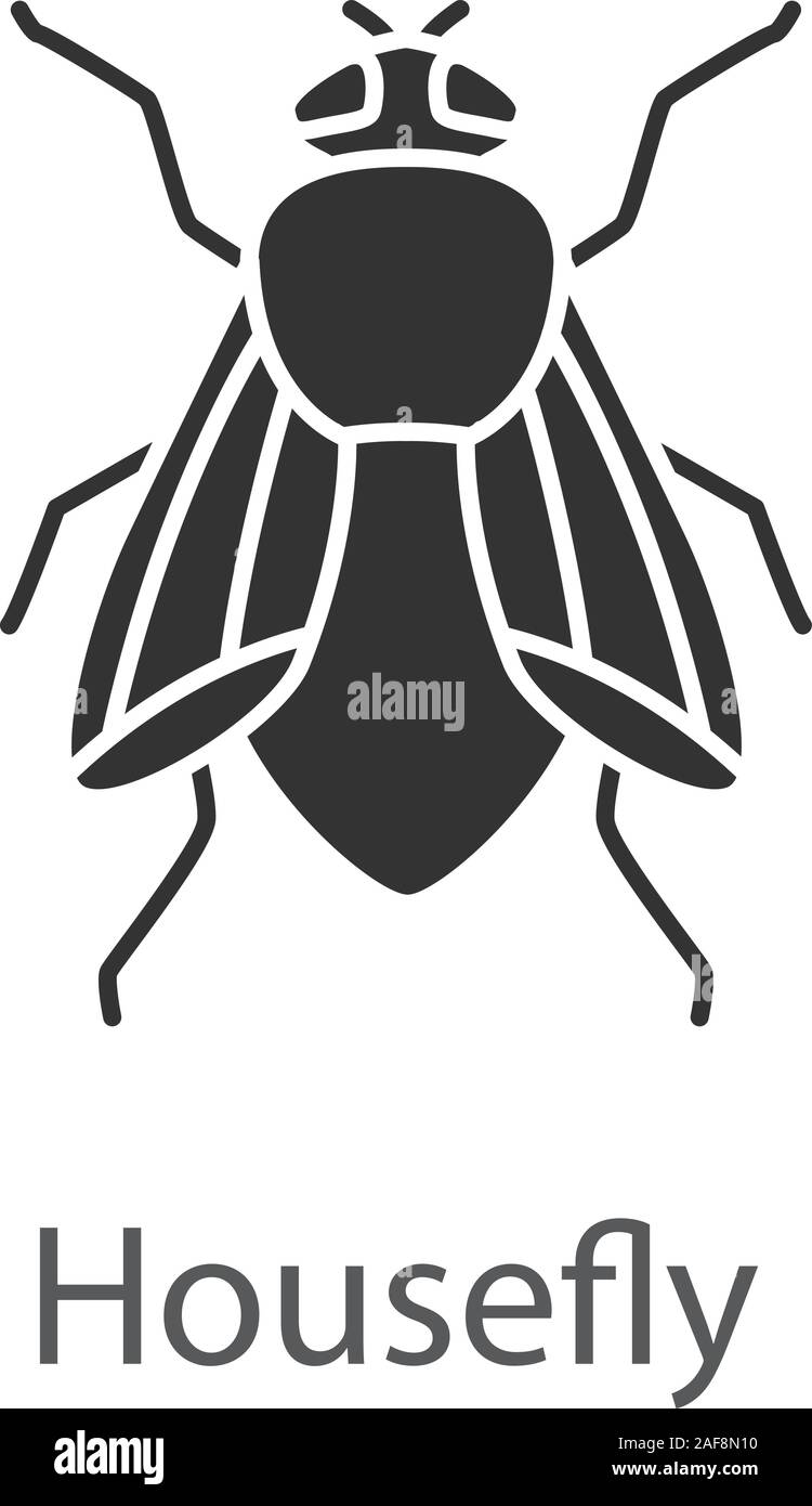 Glifo Housefly icona. Un insetto. Musca domestica. Volare un insetto. Simbolo di Silhouette. Lo spazio negativo. Vettore illustrazione isolato Illustrazione Vettoriale