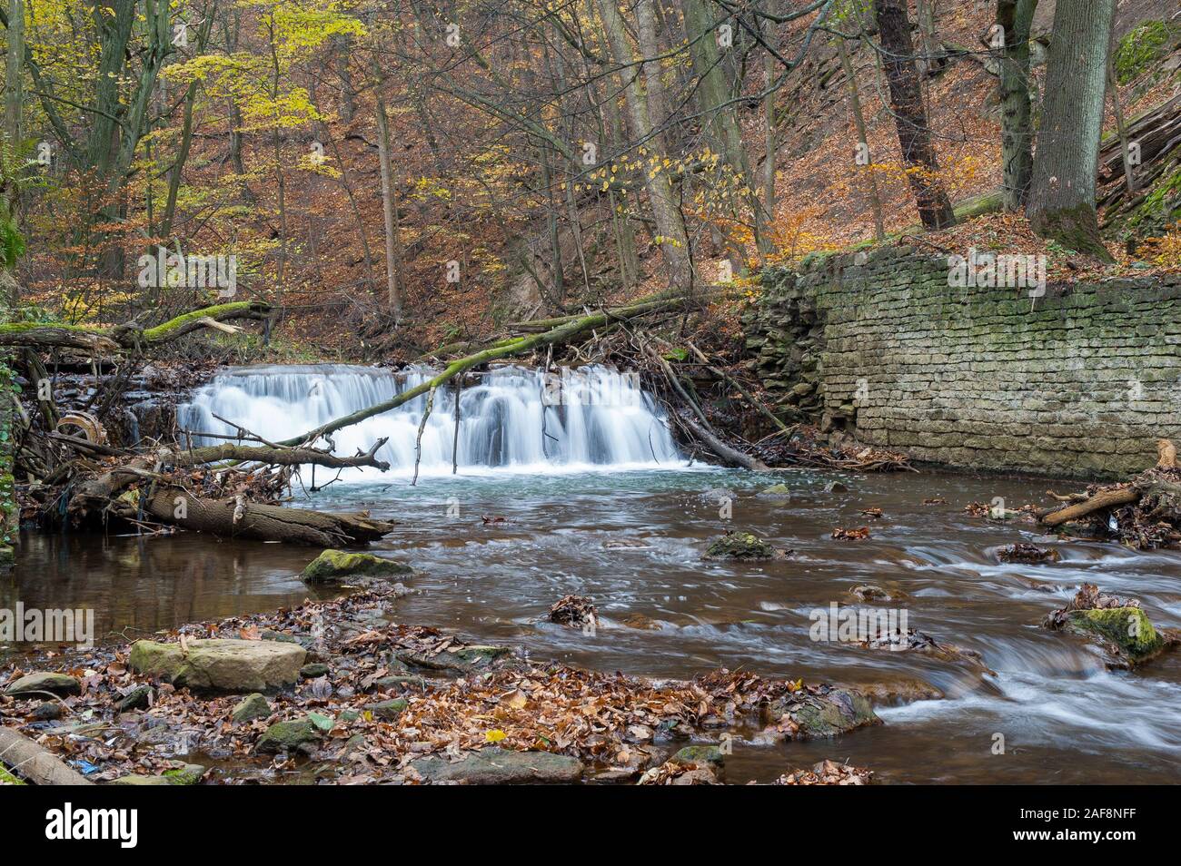 Cascata sul fiume Pełcznica in Książański Landscape Park, Polonia, Europa Foto Stock