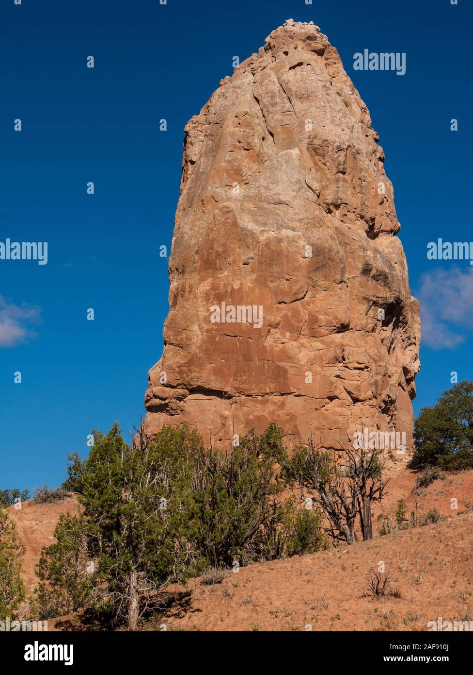 Bianco guglia sedimentaria, sentiero panoramico, Kodachrome Basin, Cannonville, Utah. Foto Stock