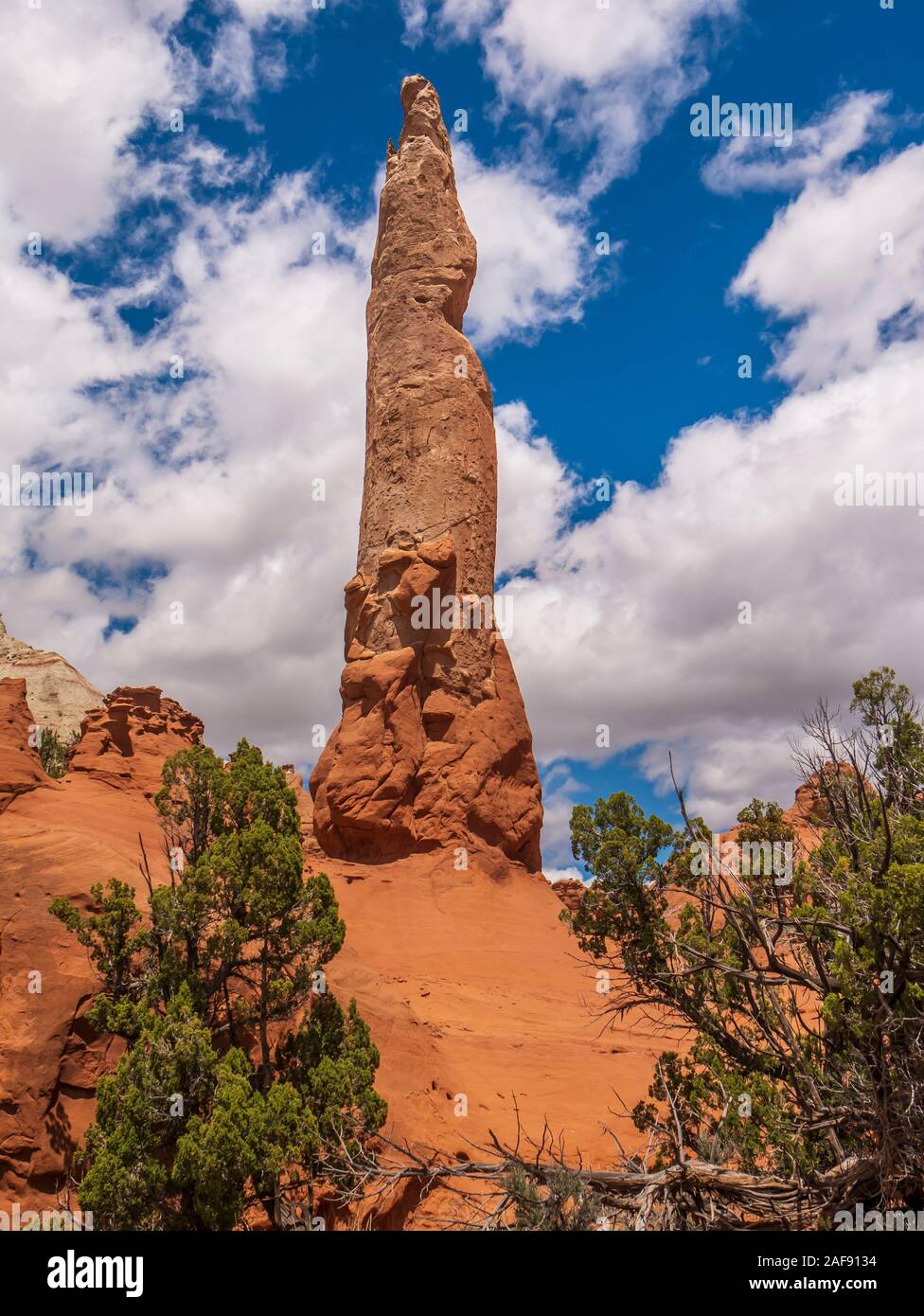 Ballerina guglia, sentiero panoramico, Kodachrome Basin, Cannonville, Utah. Foto Stock