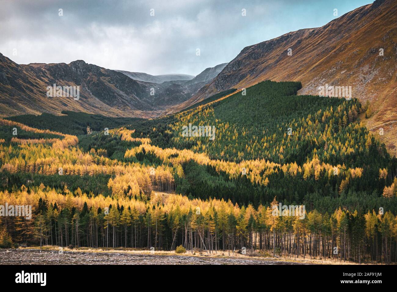 I colori autunnali nella pittoresca Corrie Fee, Glen Doll, Highlands scozzesi a fine ottobre. Foto Stock