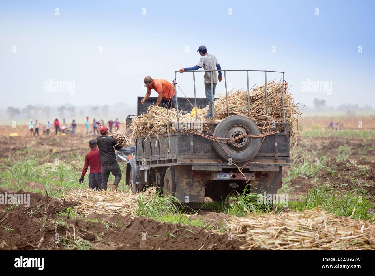 Lavoratori di canna da zucchero di canna raccolta in un campo in El Salvador, America Centrale Foto Stock