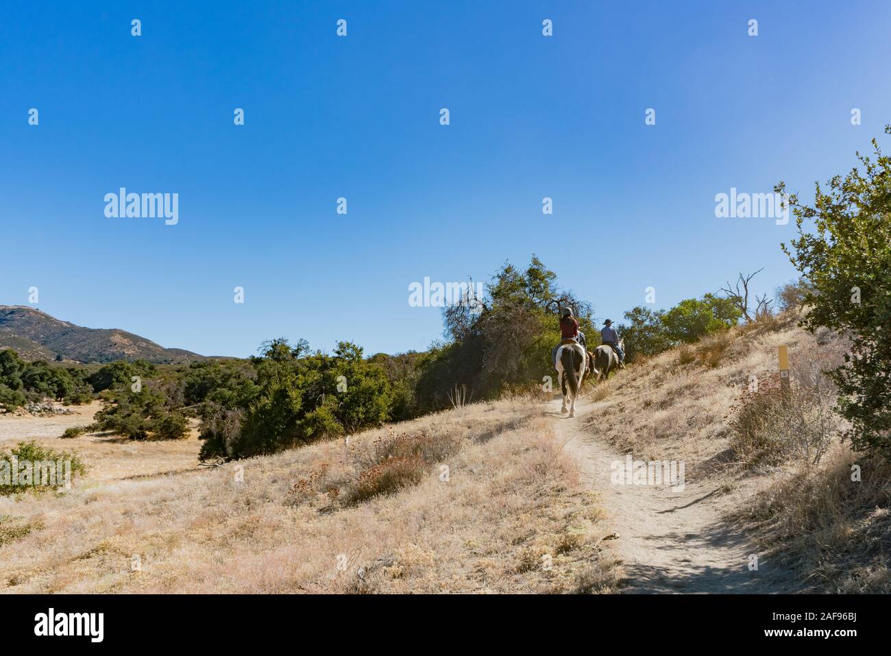 Passeggiata a cavallo sulla Pacific Crest Trail a Warner Springs, California Foto Stock