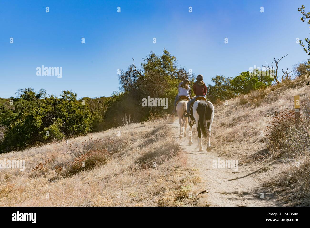 Passeggiata a cavallo sulla Pacific Crest Trail a Warner Springs, California Foto Stock