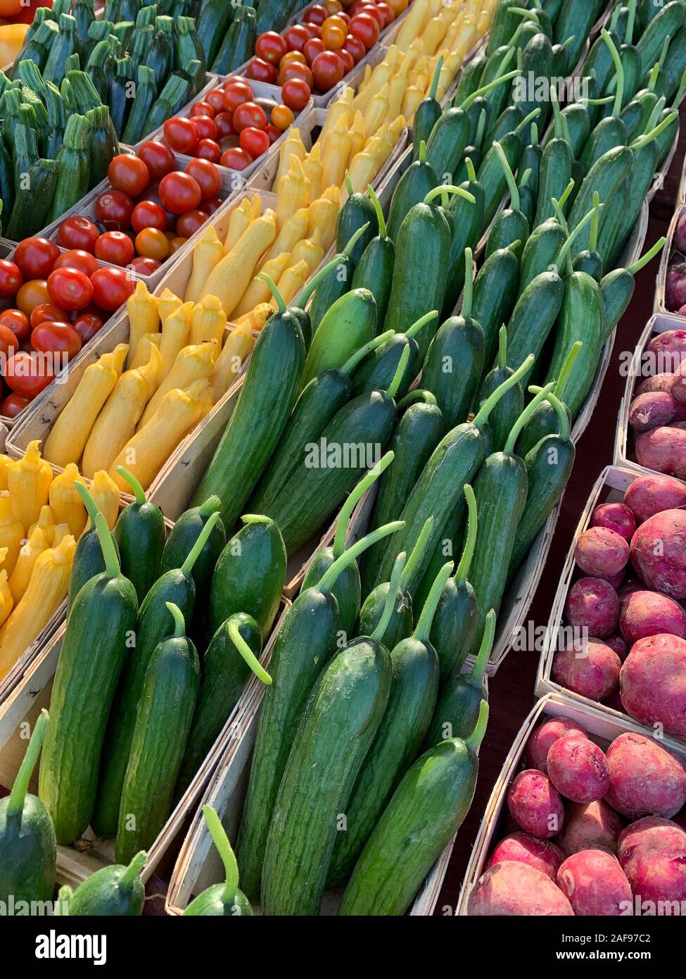 Pomodori freschi, cetrioli, squash, il Mercato degli Agricoltori. Alexandria, Virginia, Stati Uniti d'America. Foto Stock