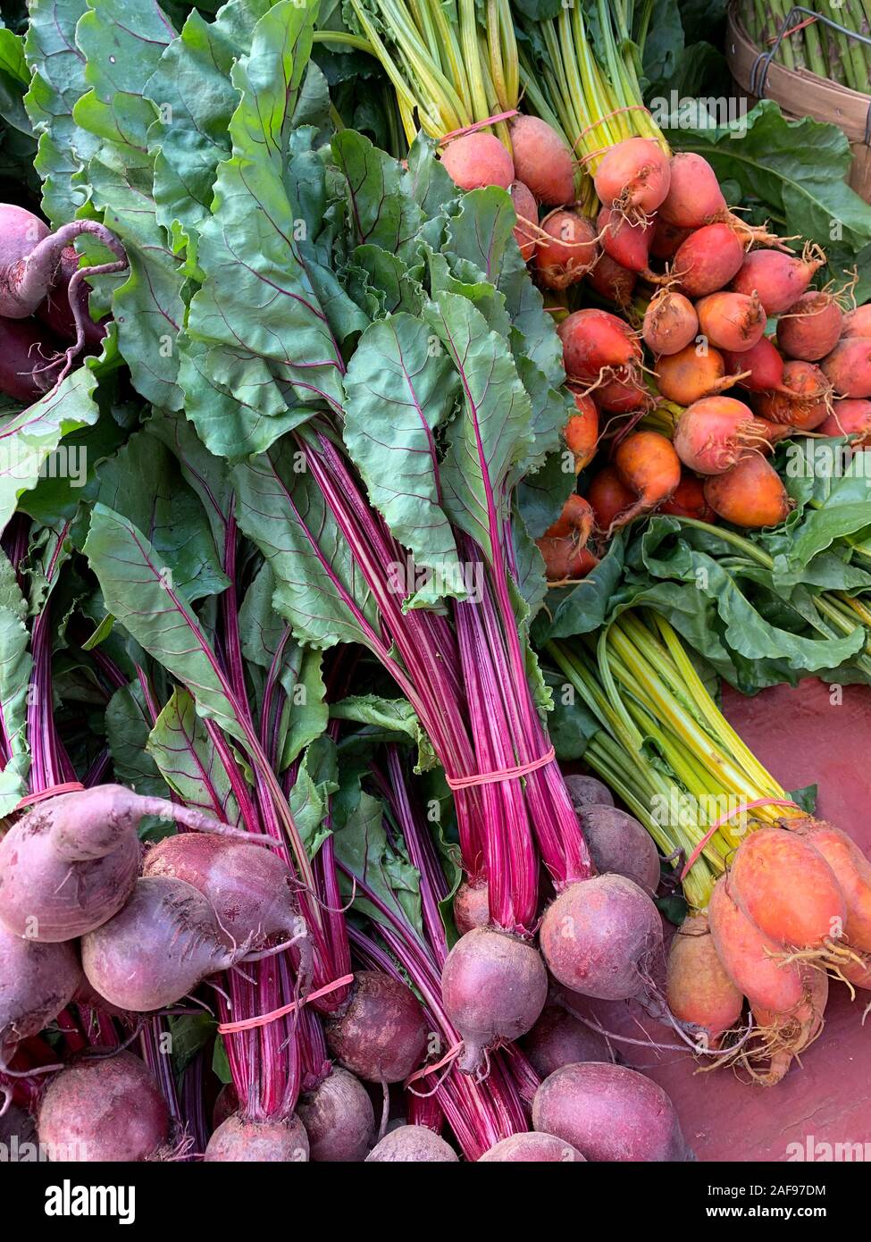 Le barbabietole fresche e ravanelli, il Mercato degli Agricoltori. Alexandria, Virginia, Stati Uniti d'America. Foto Stock