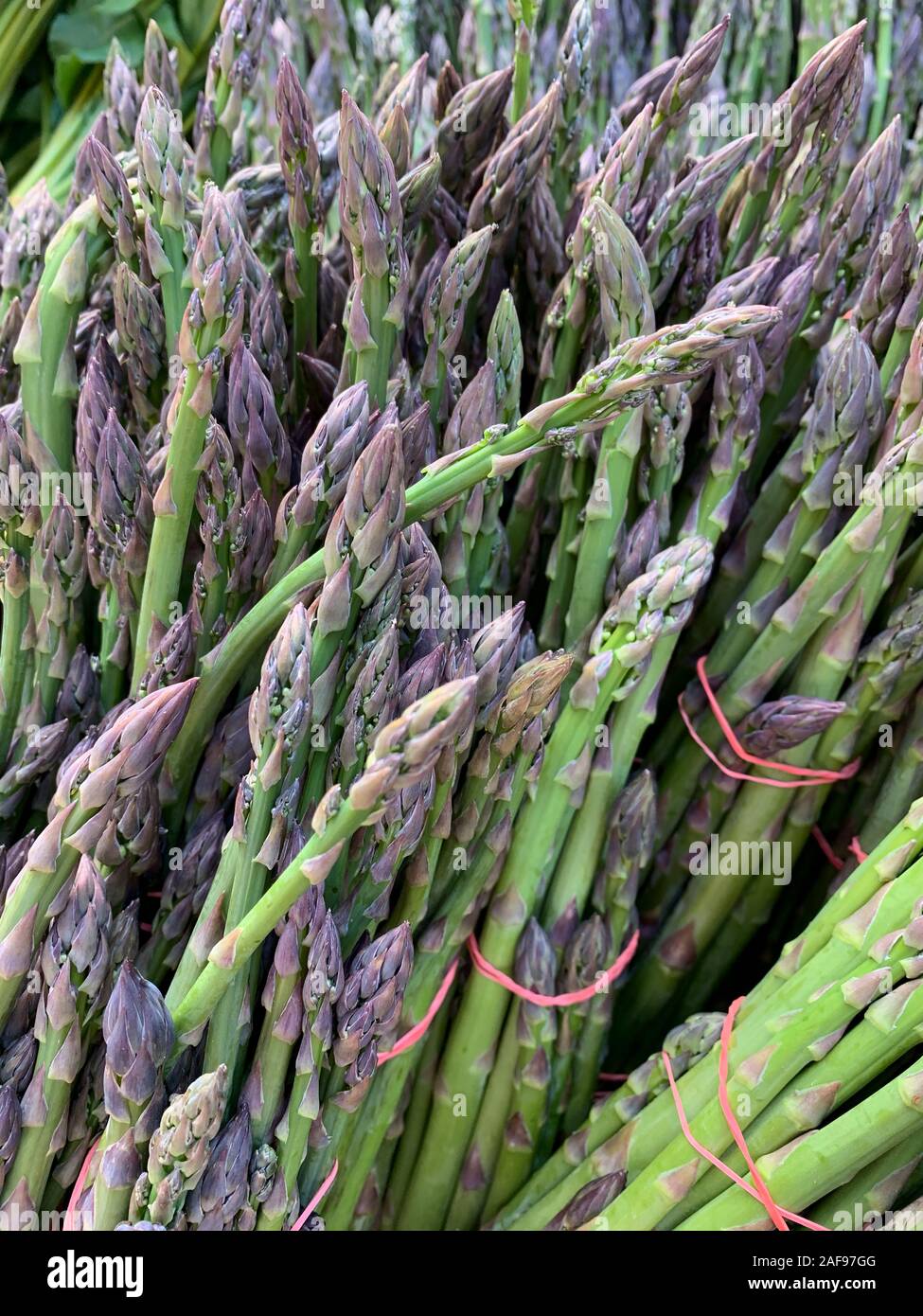 Asparagi freschi, il Mercato degli Agricoltori. Alexandria, Virginia, Stati Uniti d'America. Foto Stock