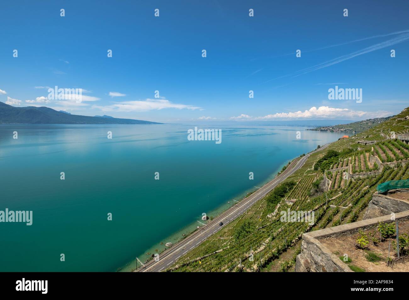 Vista sul Lago di Ginevra in direzione di Losanna dal bellissimo Lavaux vino terrazze, una zona Unesco area protetta in Svizzera Foto Stock