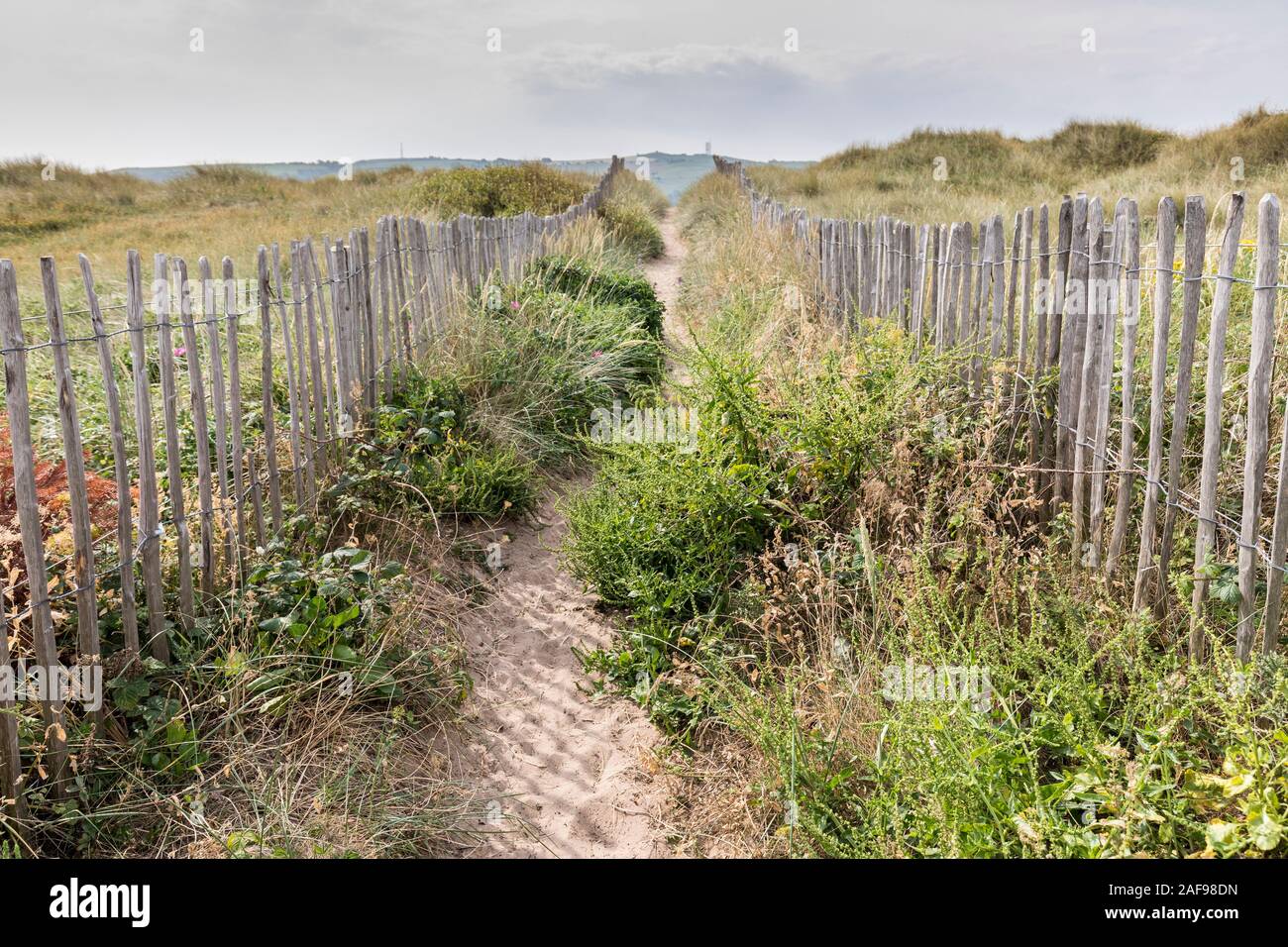 Conservazione sovradimensionate percorso attraverso le dune, Prestatyn, Denbighshire, Wales, Regno Unito Foto Stock