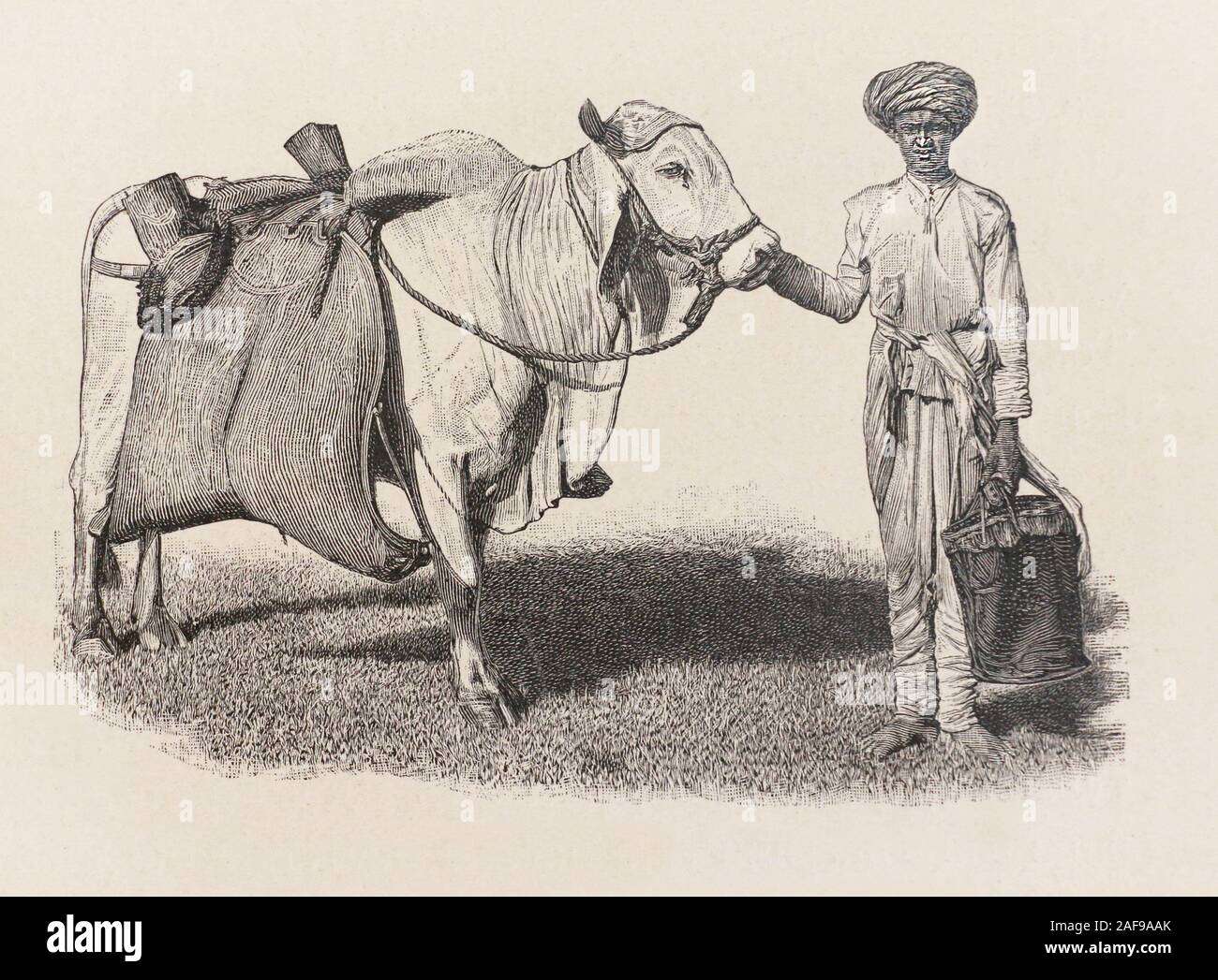Porta acqua in India. Incisione del 19th secolo. Foto Stock