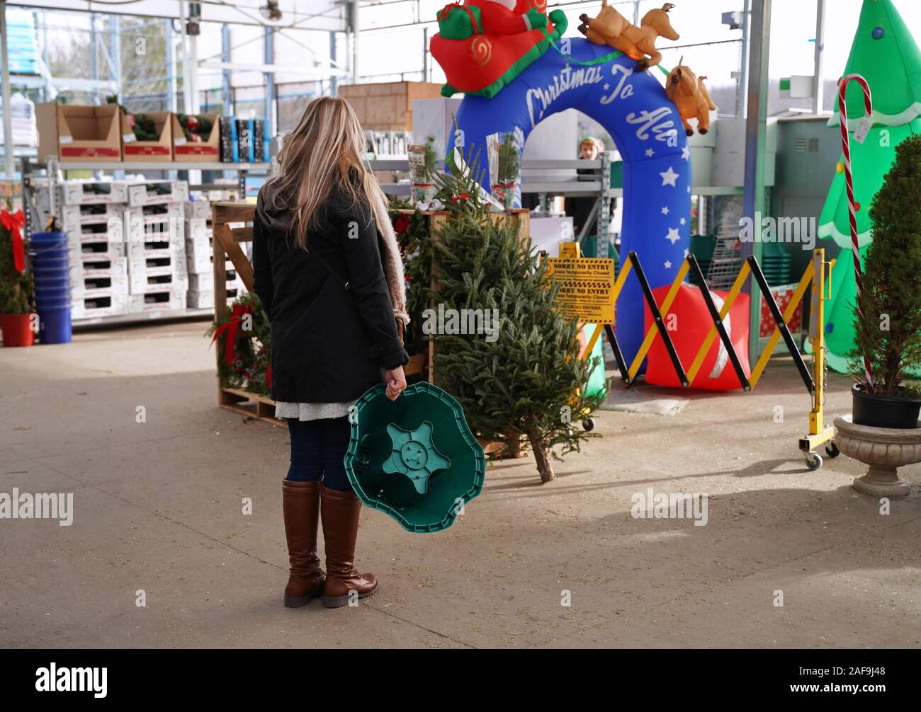 Cromwell, CT, Stati Uniti d'America. Dic 2019. Donna shopper la navigazione all'aperto per decorazioni di Natale a un miglioramento di casa store mentre si tiene un nuovo supporto albero. Foto Stock