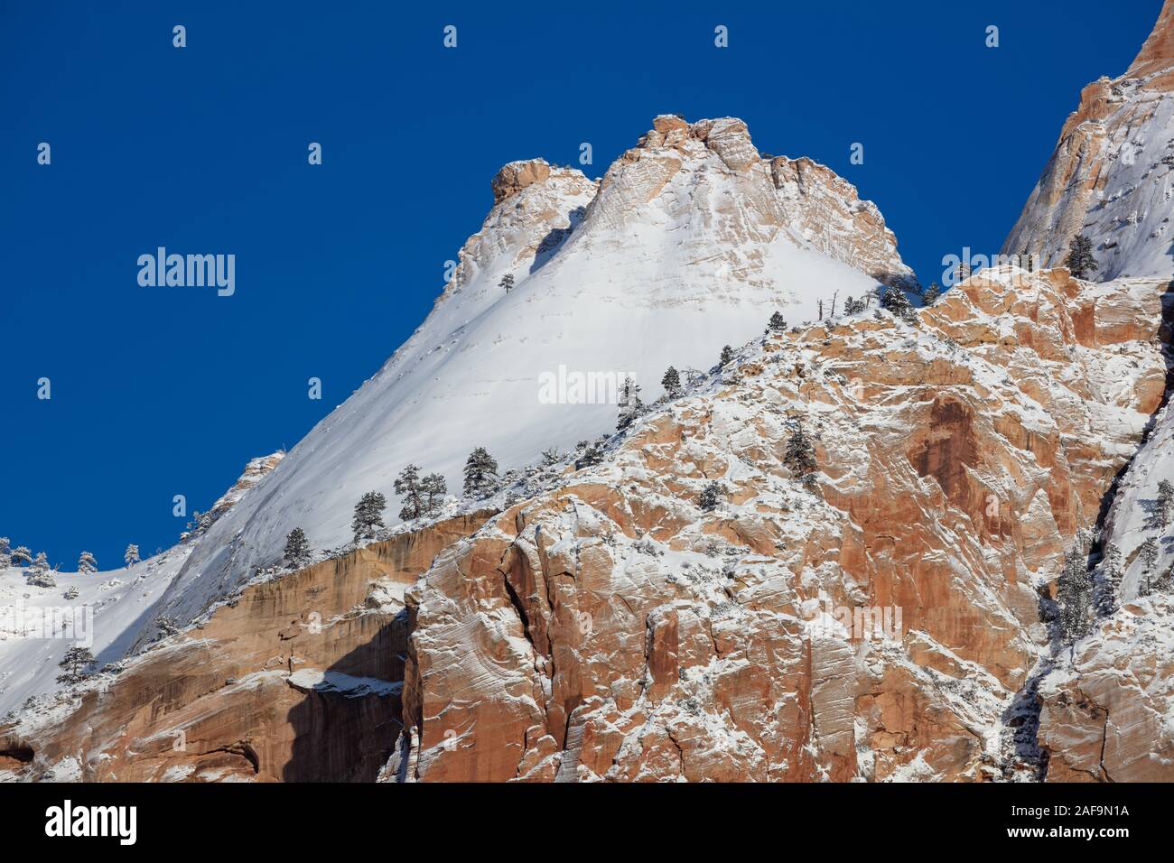 Neve aggrappata alle scogliere dopo una tempesta di neve invernale, Zion National Park, Utah Foto Stock