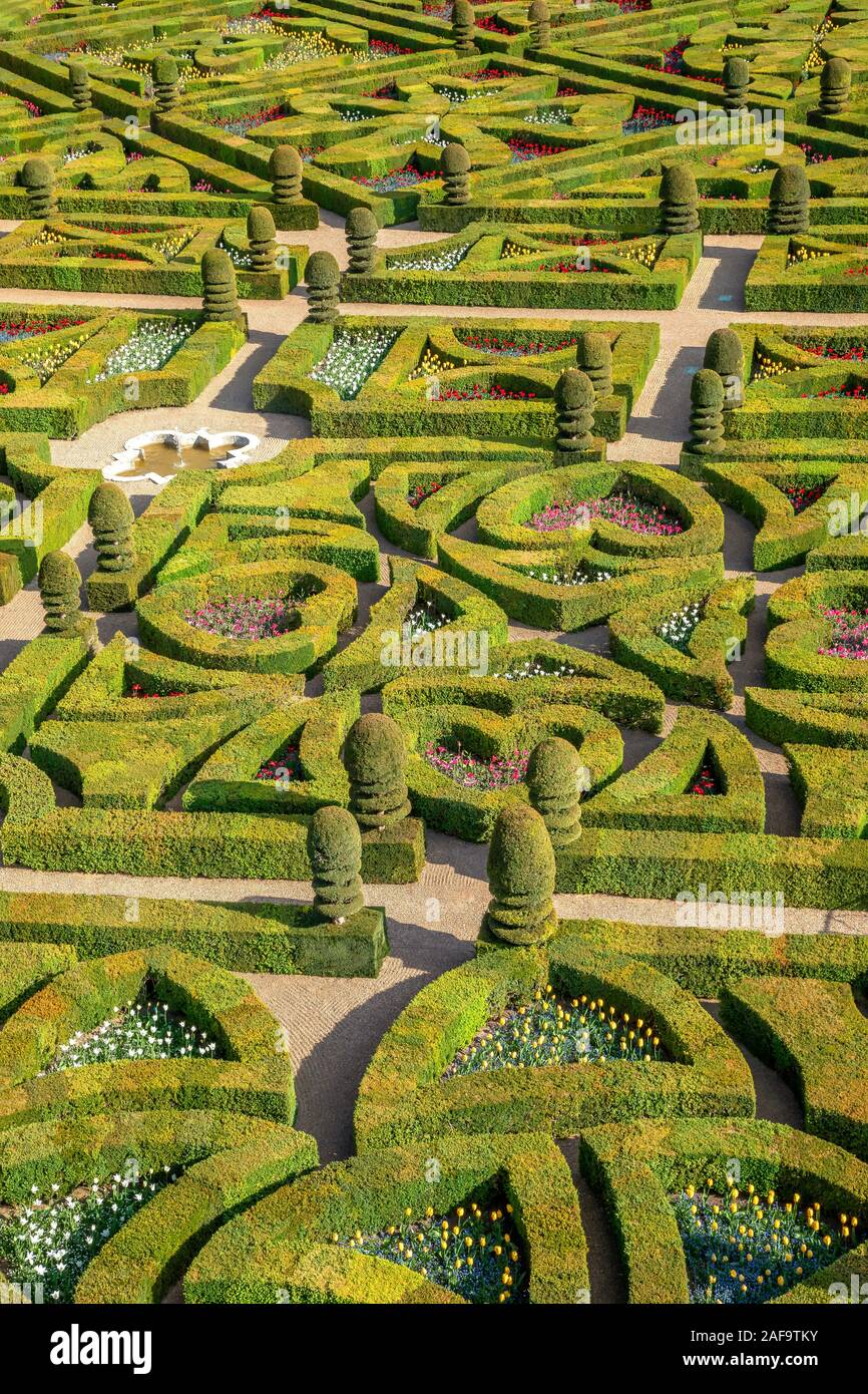 Il giardino ornamentale di Chateau de Villandry, Valle della Loira, Francia Foto Stock