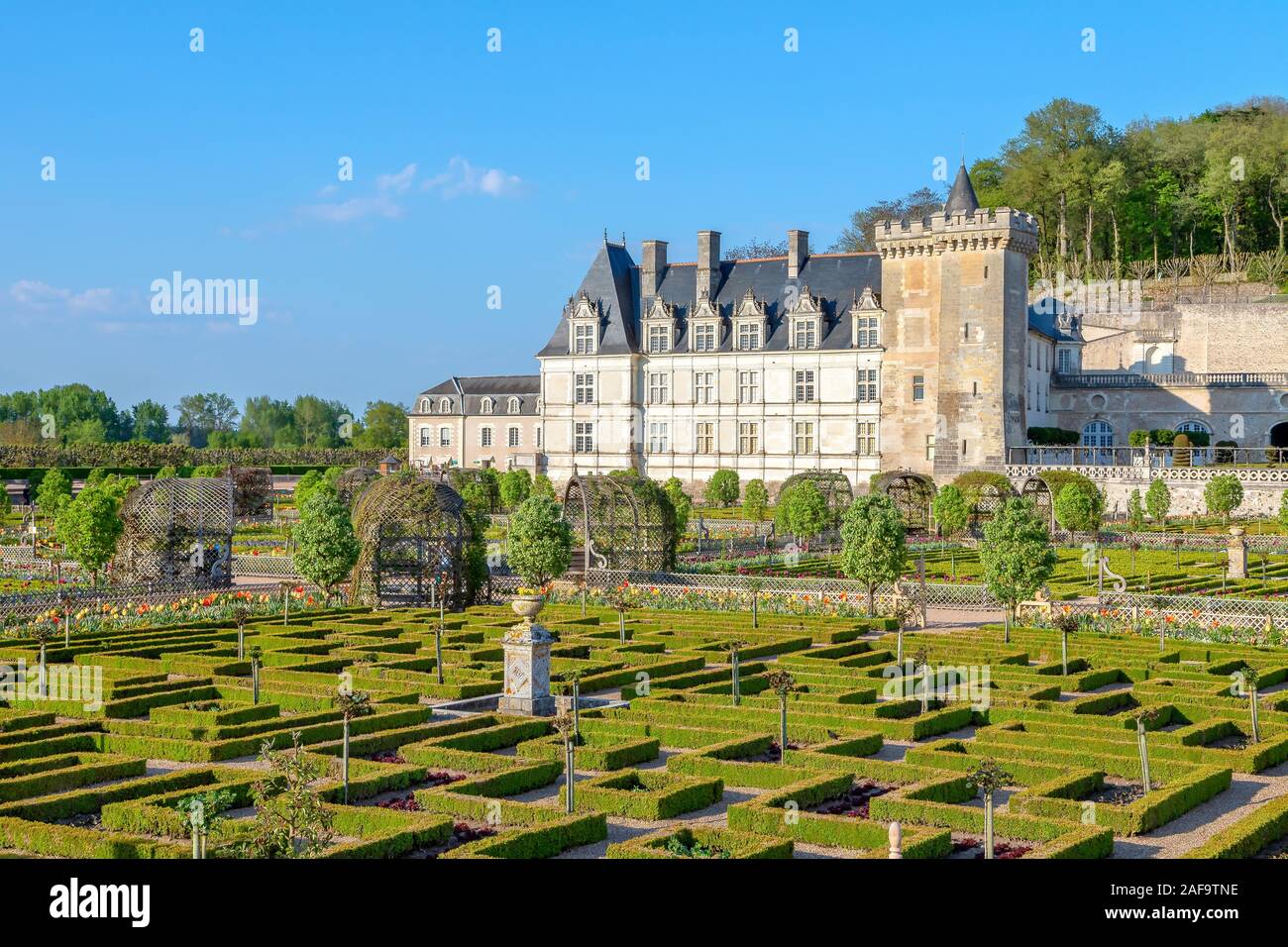 Il castello di Villandry e il suo splendido giardino, Francia Foto Stock