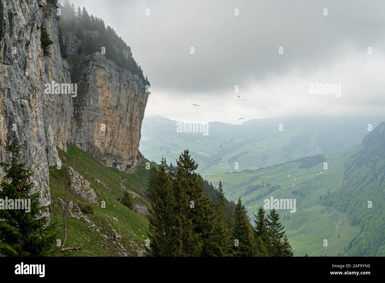 Cime di montagna con verdi alberi coperti dalla nebbia - Alpi Svizzere durante la tarda estate Foto Stock