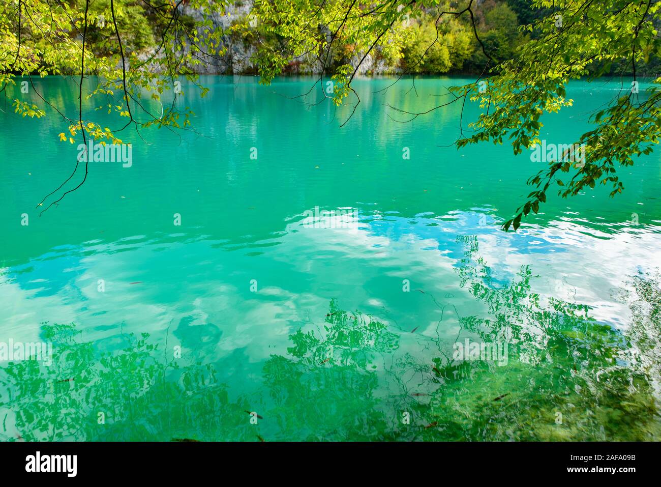 Il Parco Nazionale dei Laghi di Plitvice (Plitvička jezera) con il turchese del lago, Croazia Foto Stock